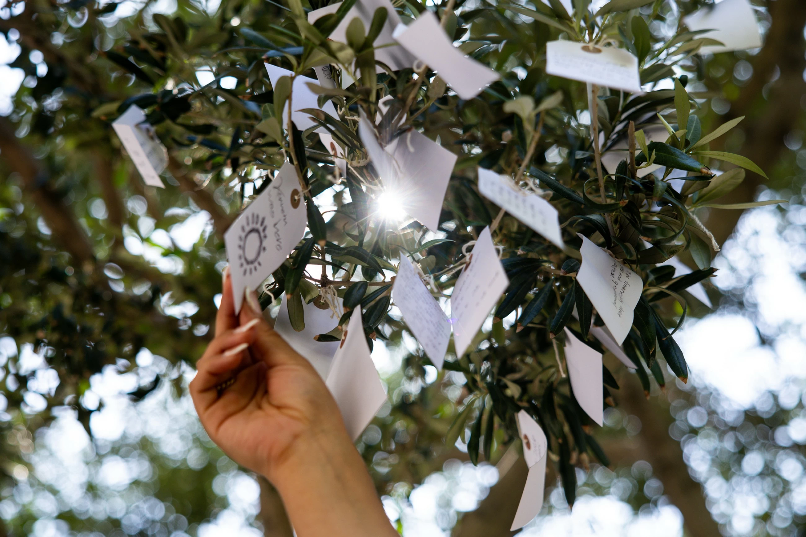 Visitors leave 500 wishes daily on Yoko Ono’s iconic Wish Trees installation