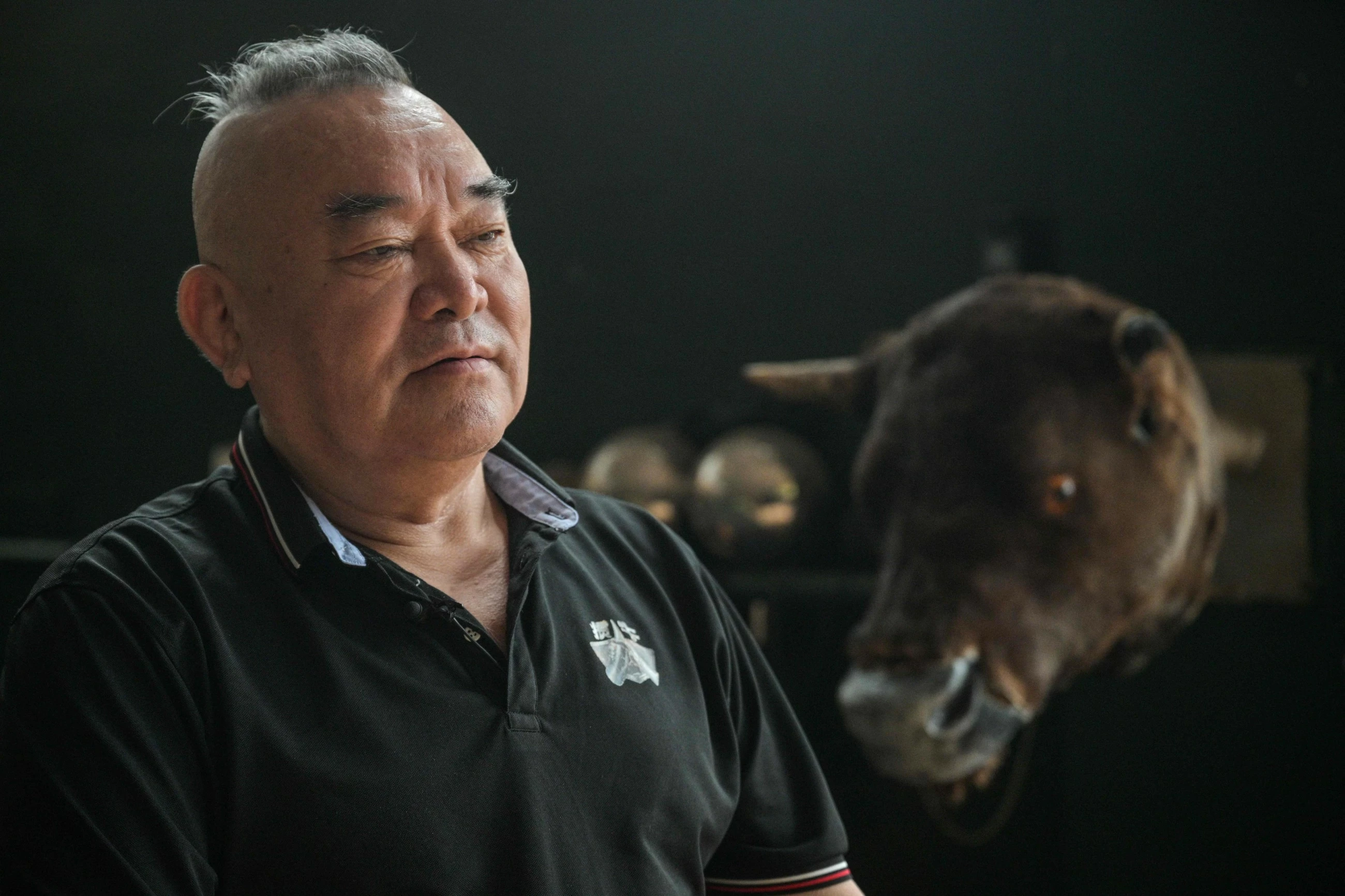 China's bull wrestlers fight to keep tradition alive