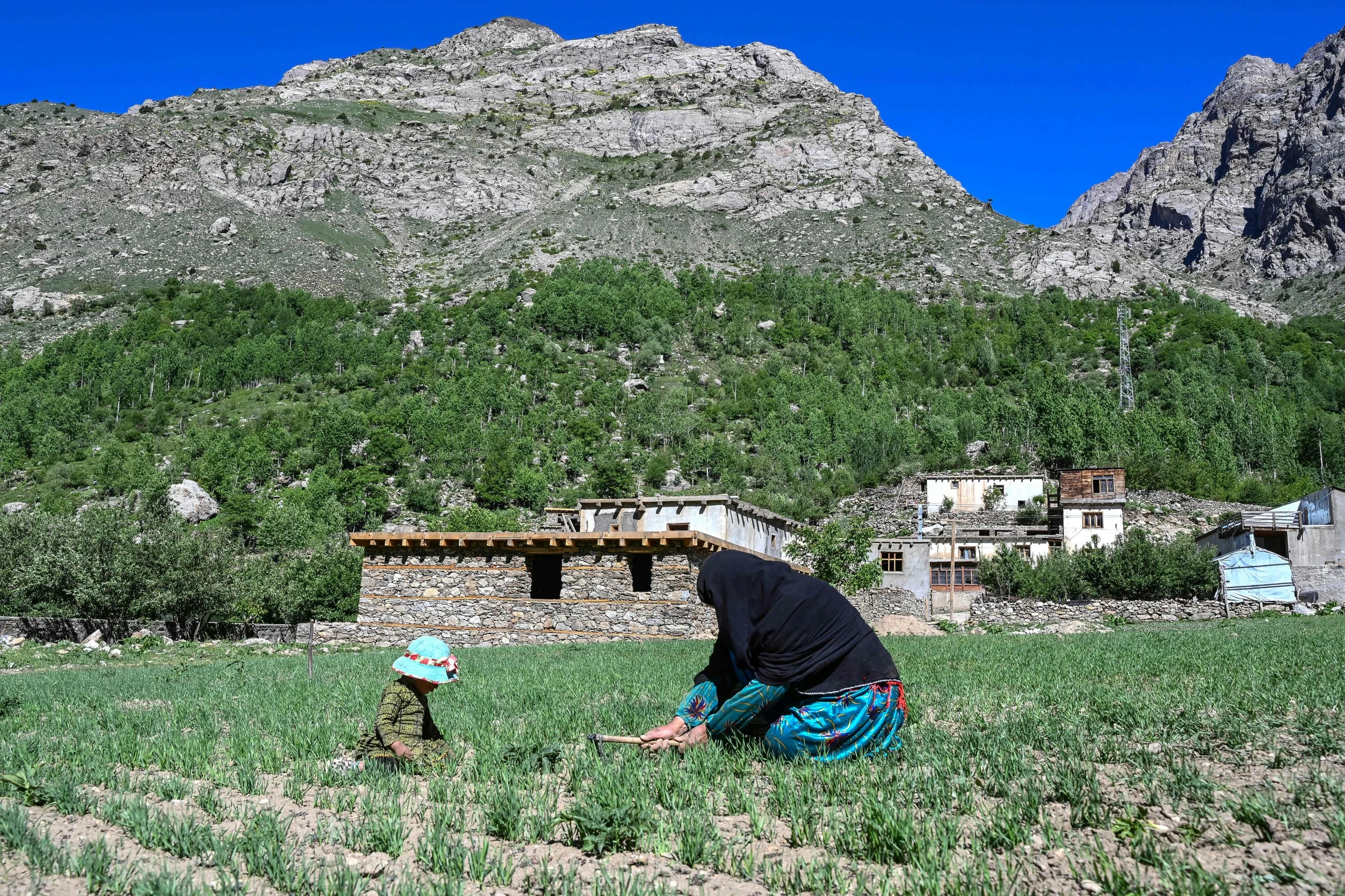The Afghan women farmers keeping their village alive