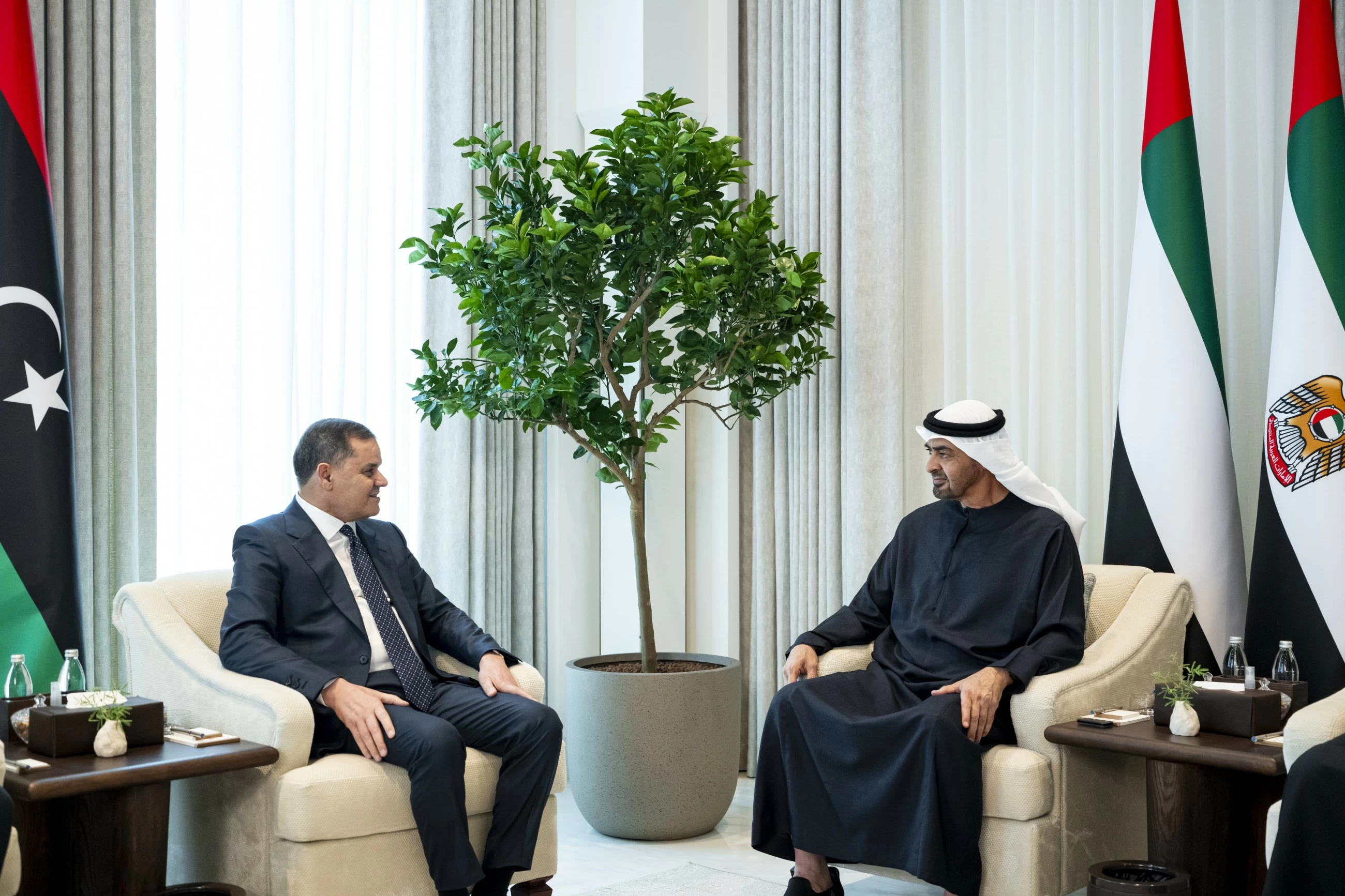 UAE, Libya leaders seek lasting peace in region