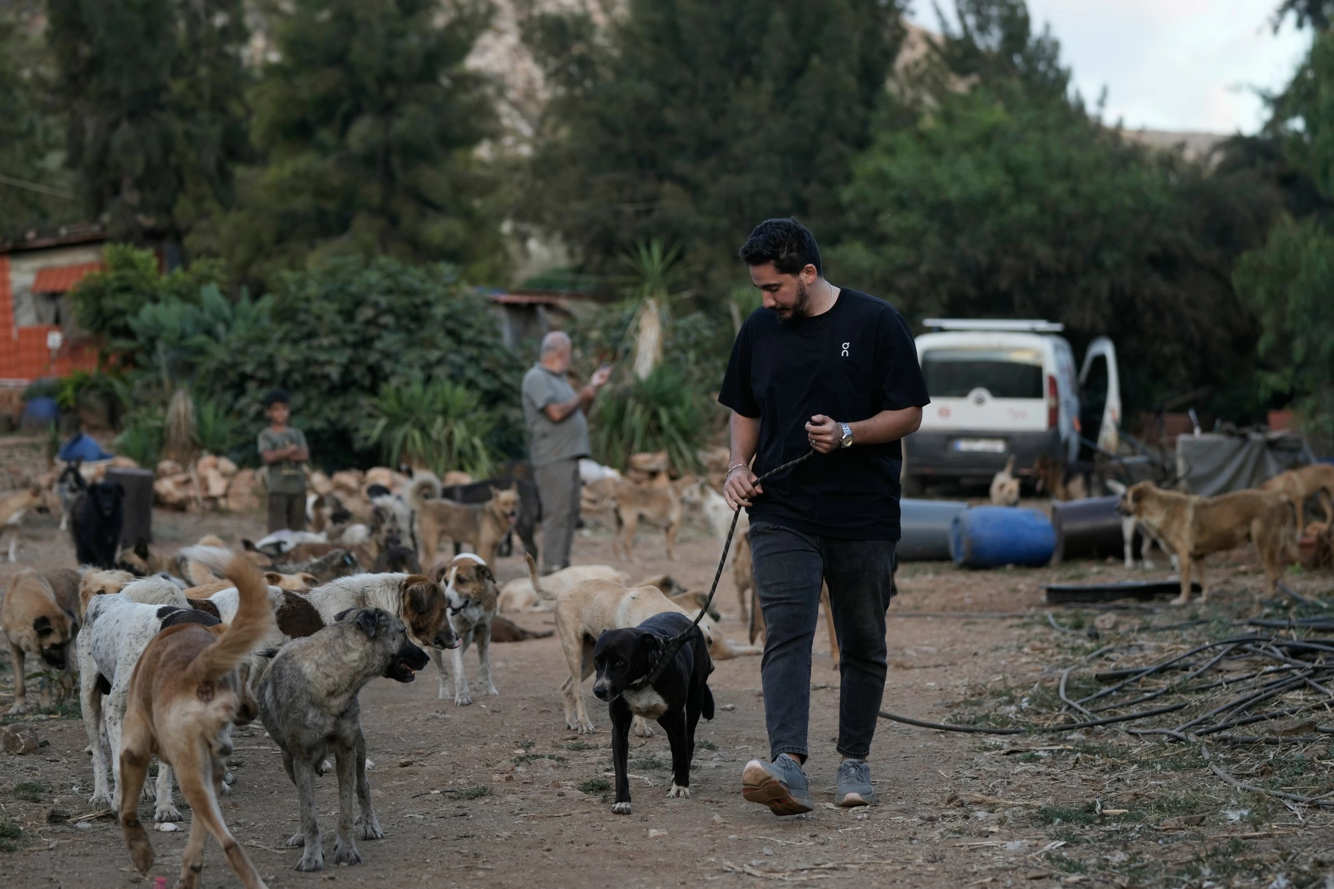 An animal rescuer cares for pets and livestock stranded by war in southern Lebanon