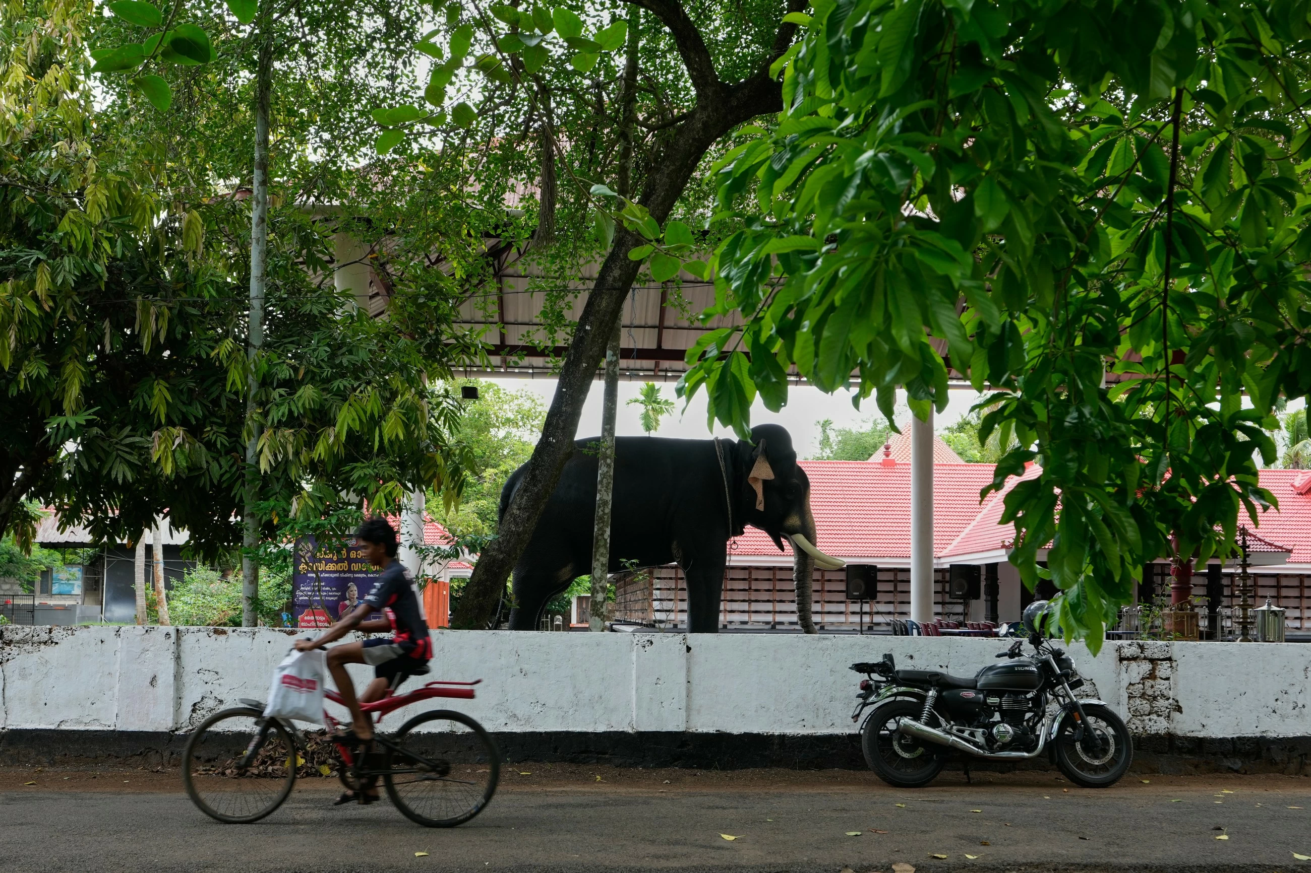 Robotic elephants draw crowds and controversy in some of India's Hindu temples