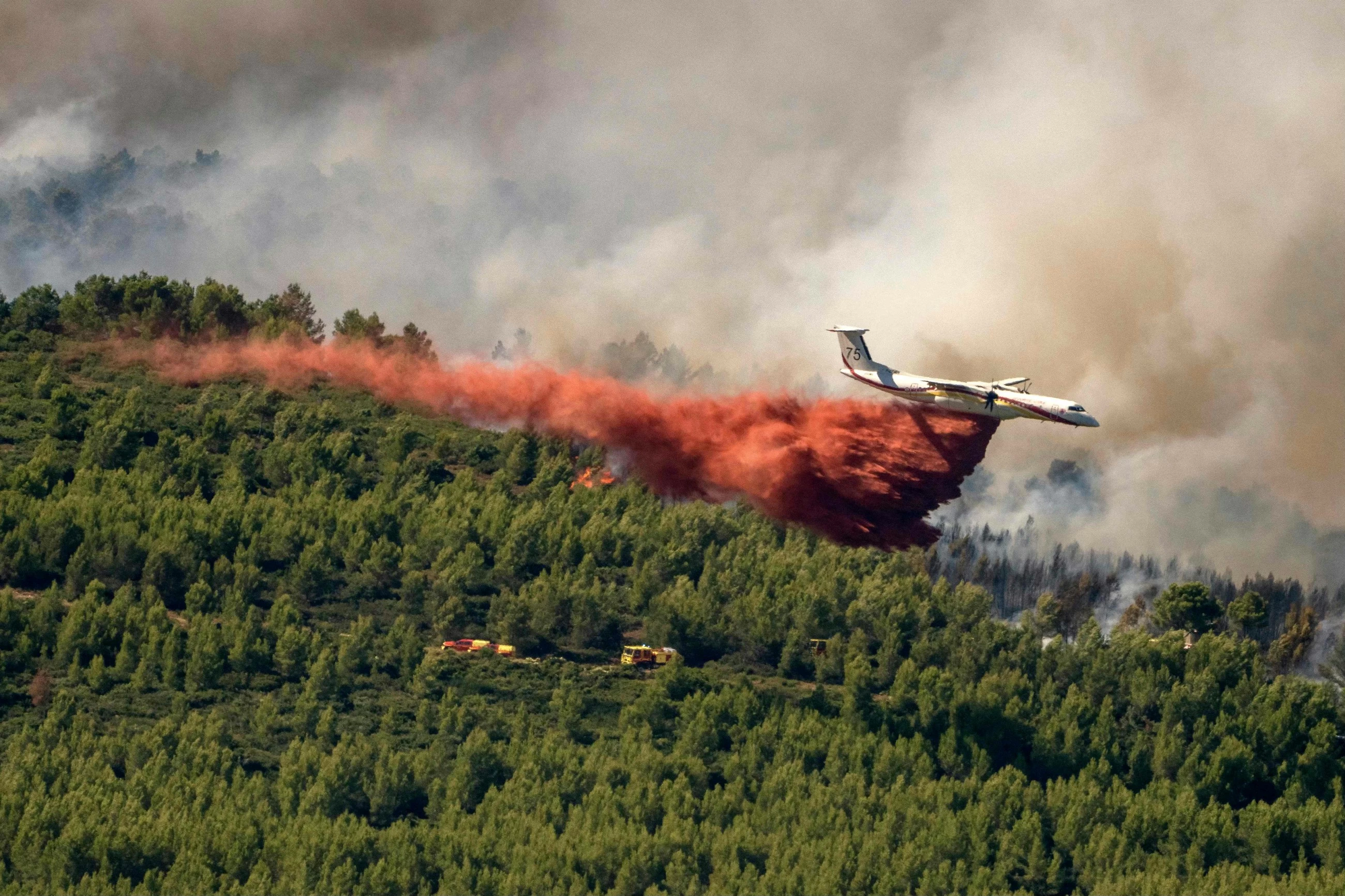 41 countries in need of external assistance for food due to conflicts, weather shocks