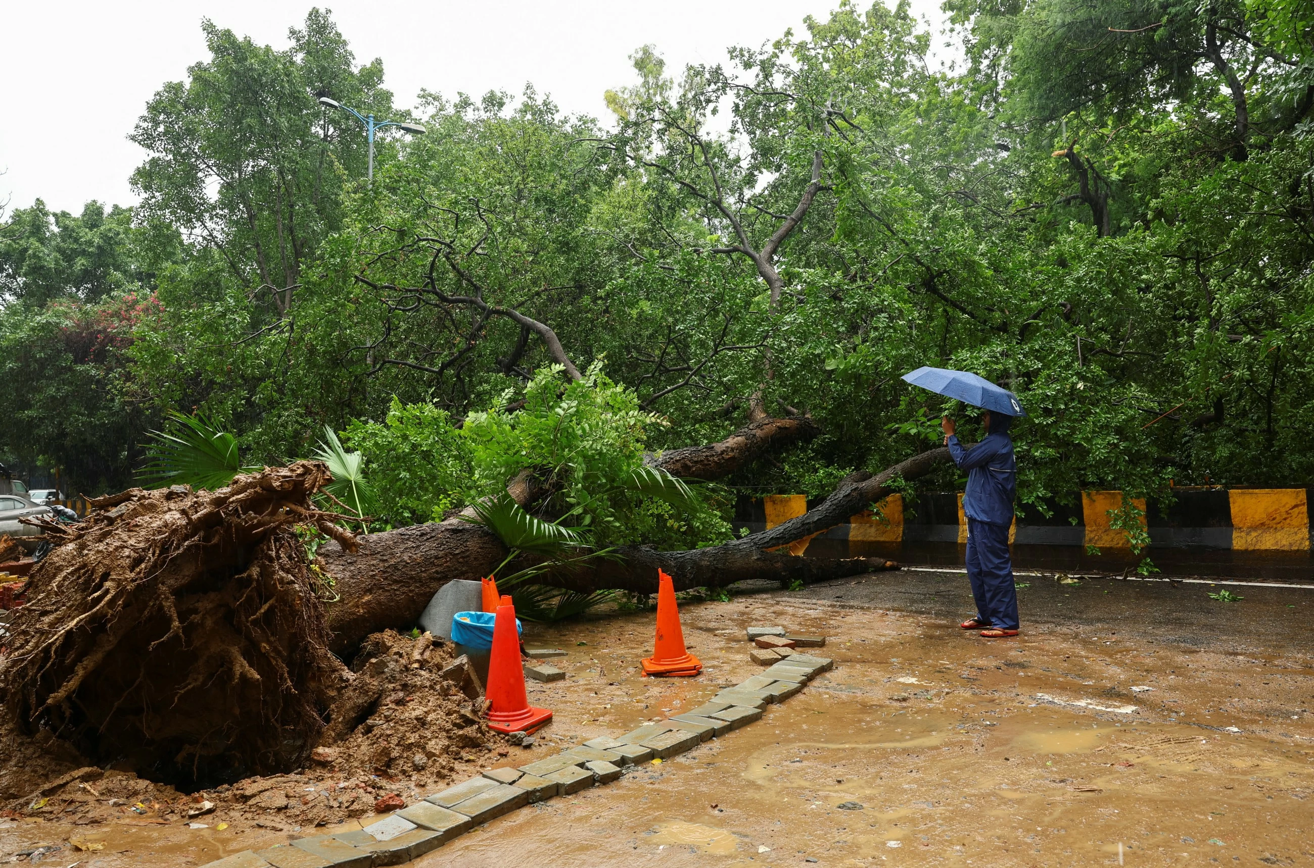 Four die in Delhi building collapse as rain batters India, trigger landslides