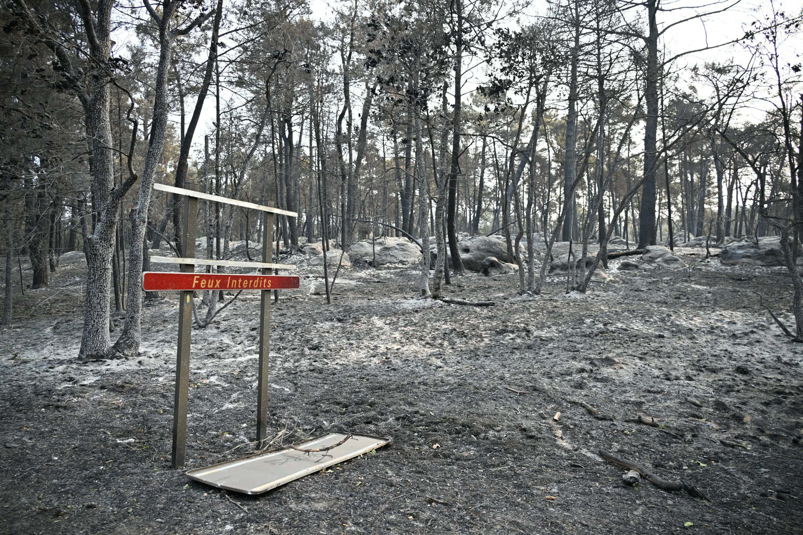 Wildfires advance in forest south of Paris