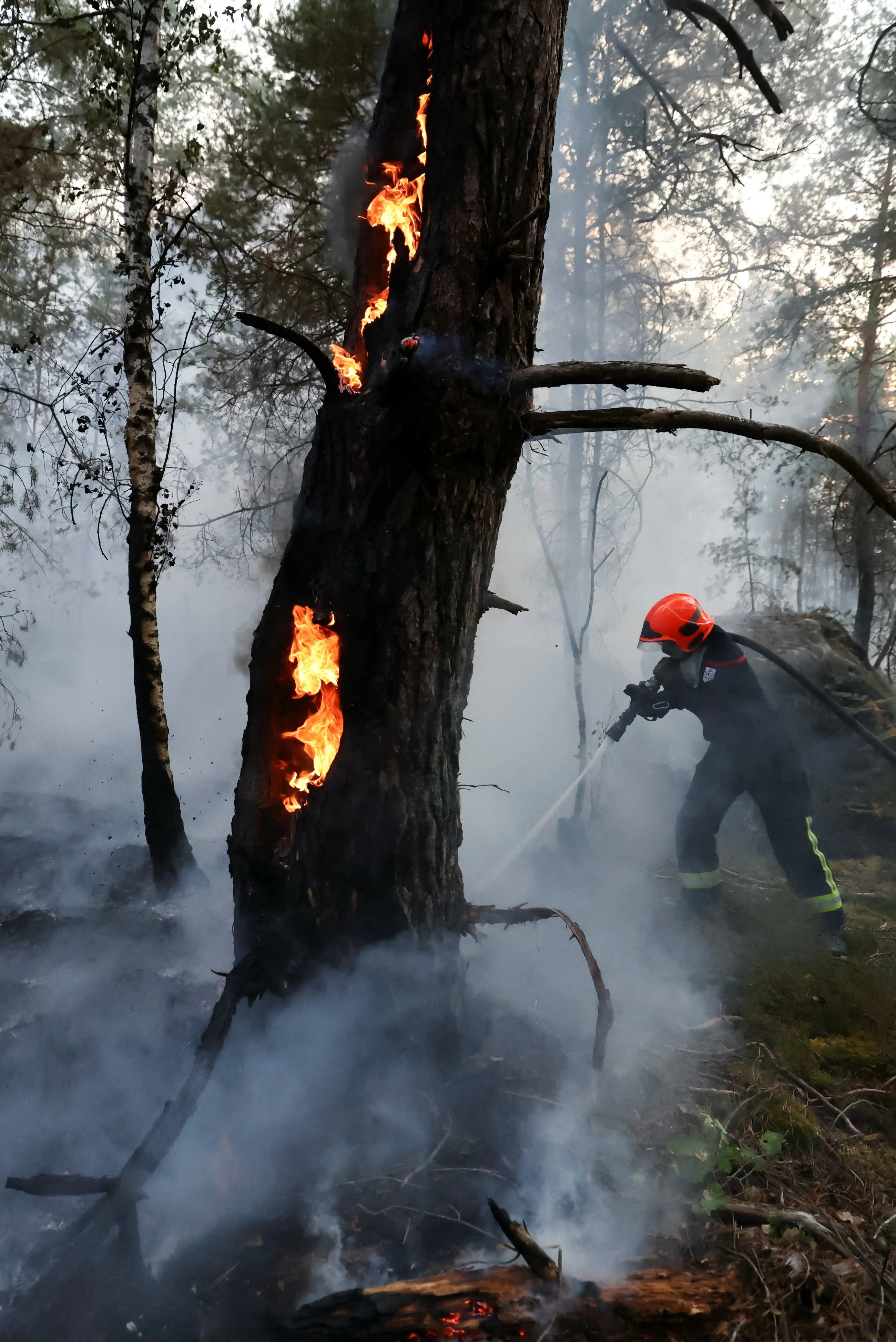 Wildfires advance in forest south of Paris