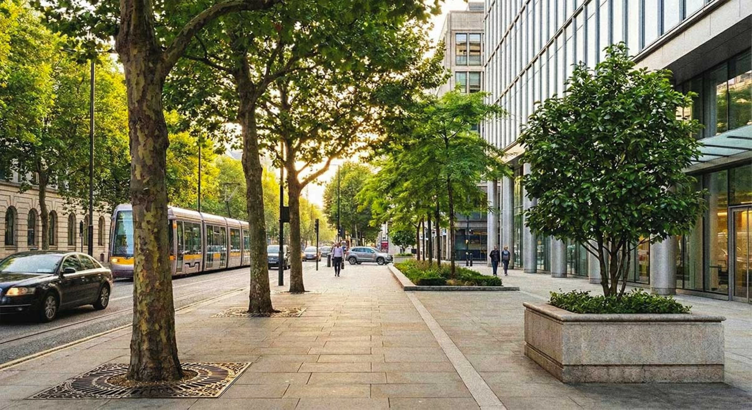 Climate-smart city strategies needed, not just more trees