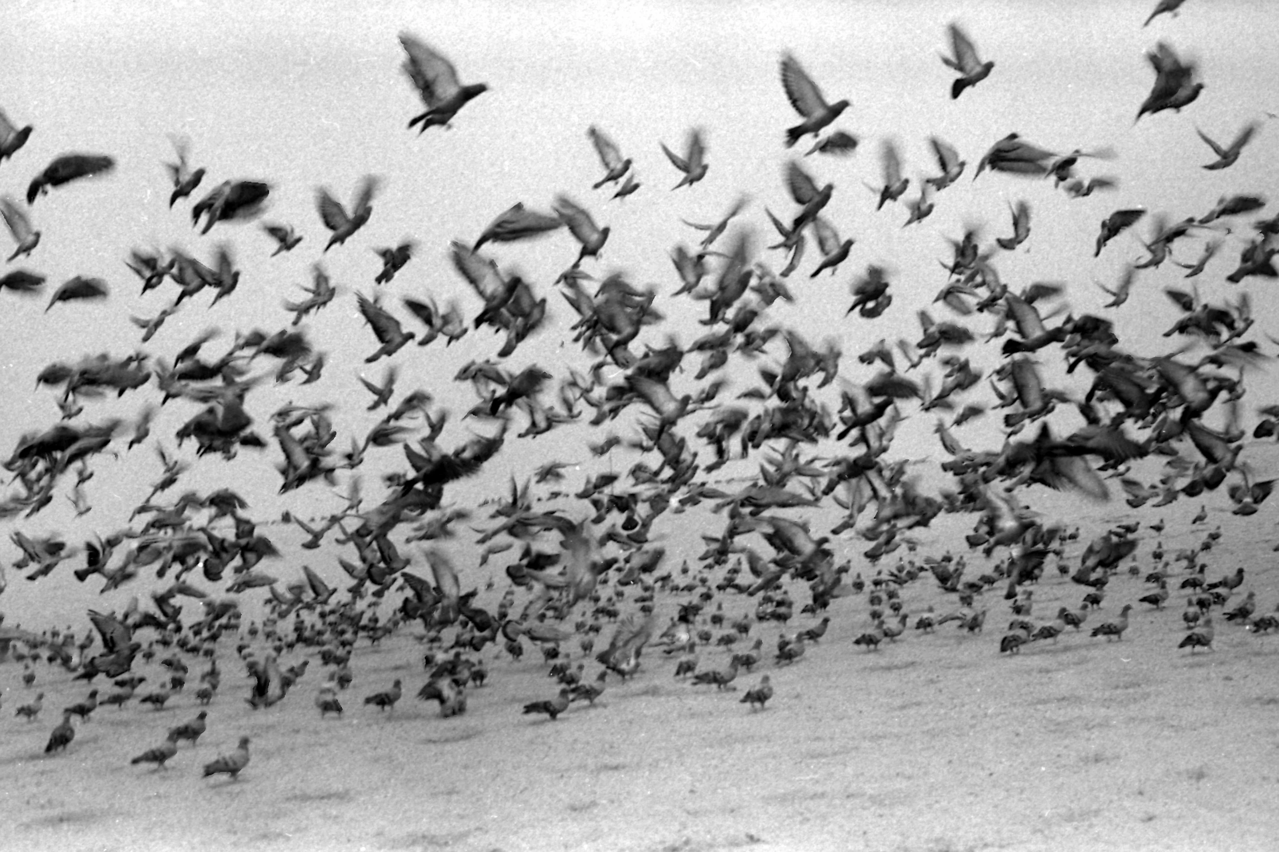 SAF&rsquo;s Vantage Point 13 to explore world of documentary photography