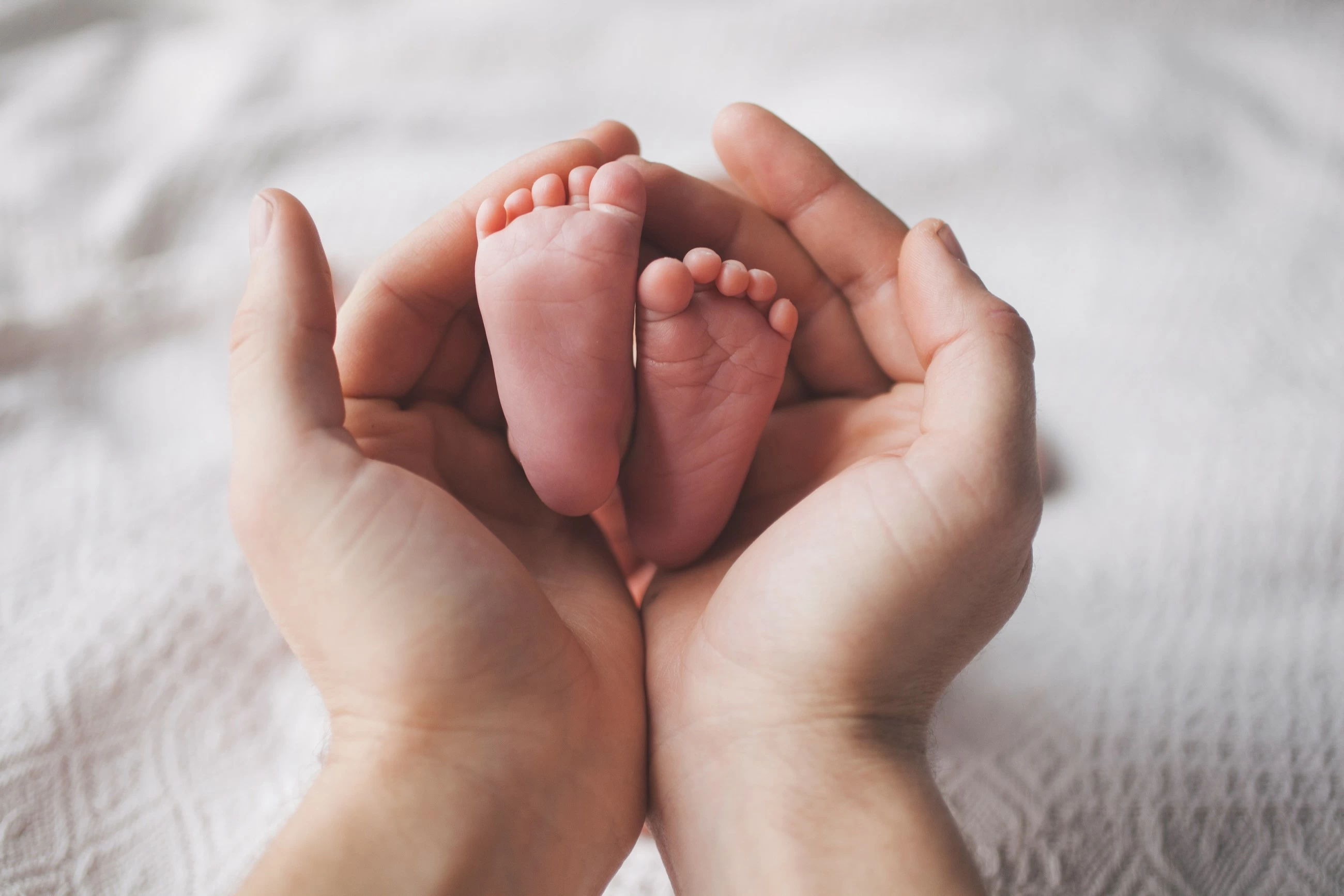 UAE parents can obtain electronic birth certificates instantly through EHS