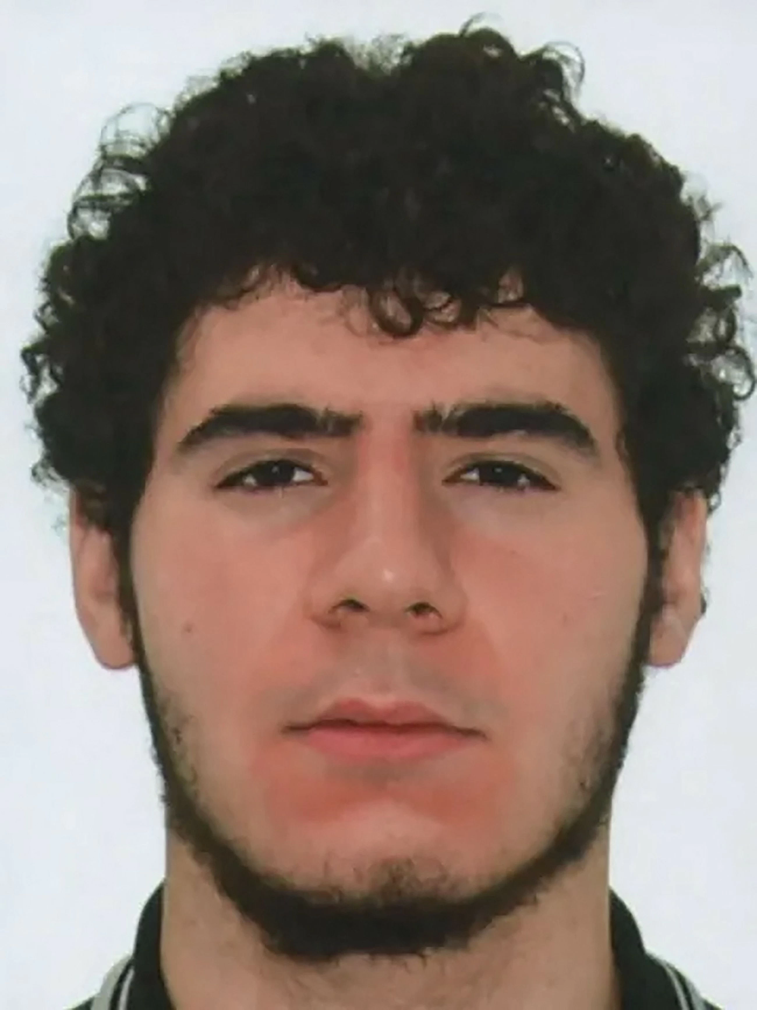 German police hunt suspect in Berlin Pride van-ramming attack