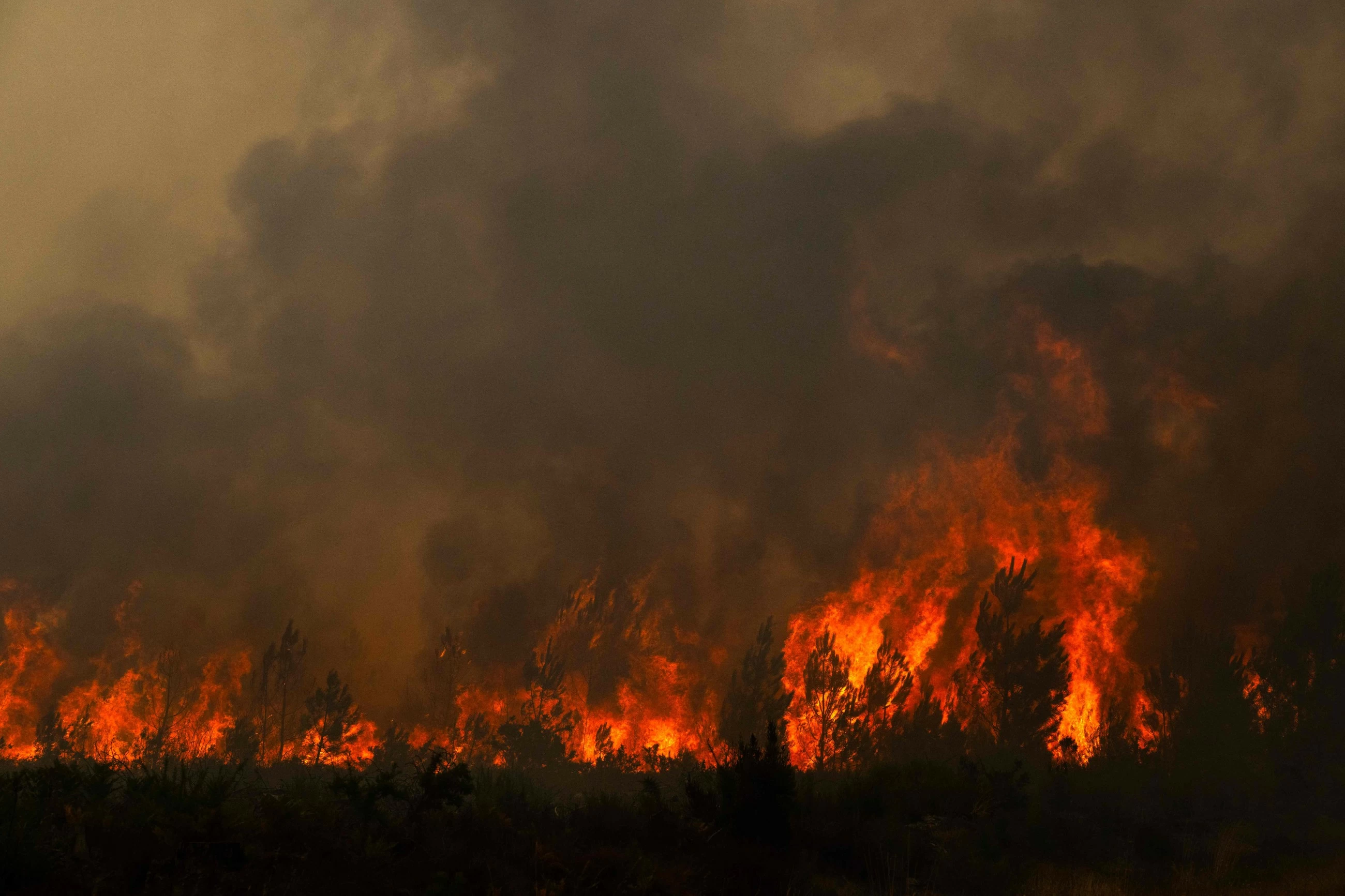 French authorities say 220,000 now evacuated from biggest forest fire