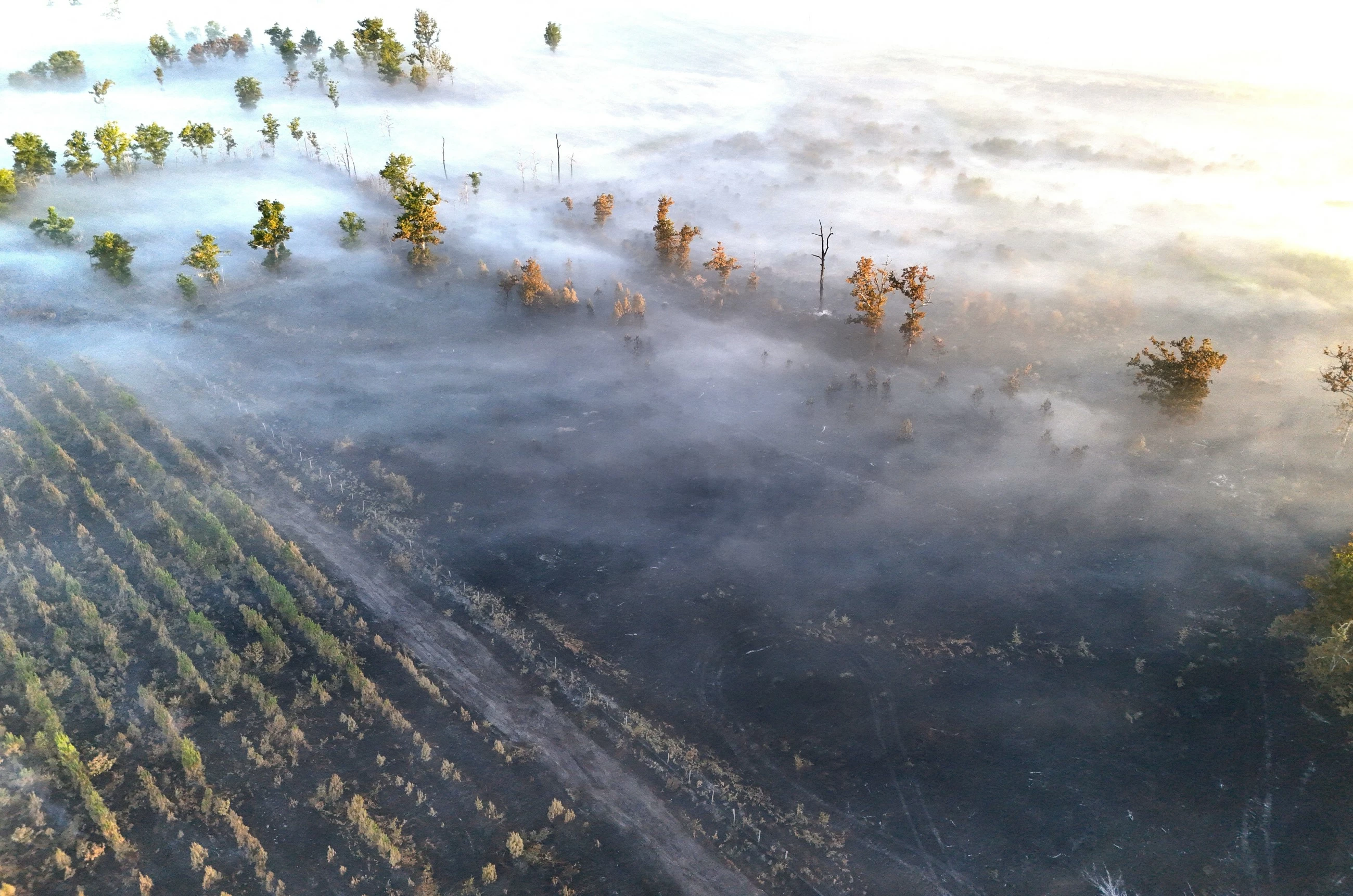 France orders 4,000 more evacuated as fires displace 330,000 across southwest Europe