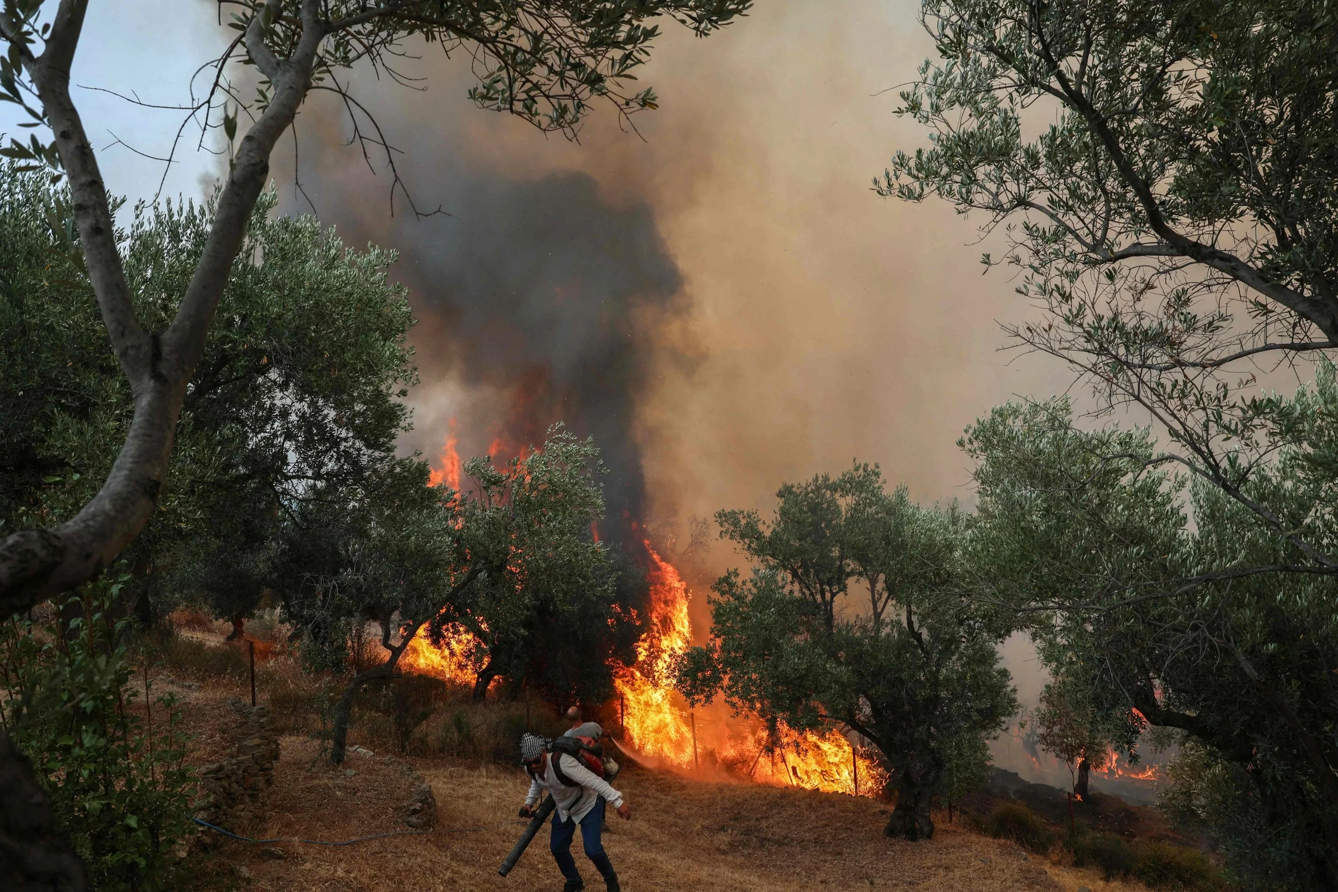 Three Greek firefighters killed as wildfires strike further east in Europe