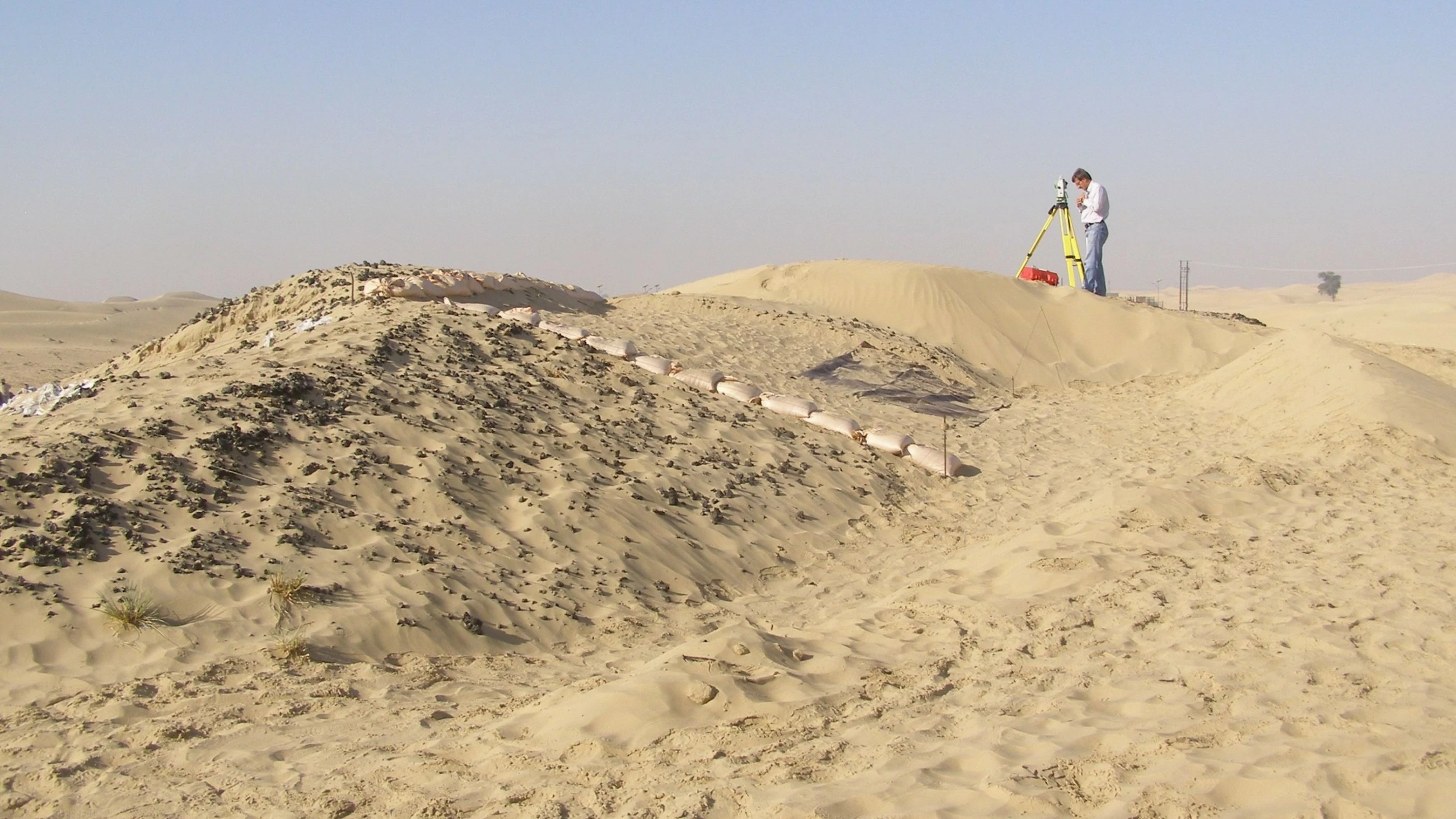 Dubai Culture to participate in 59th Seminar for Arabian Studies in Italy