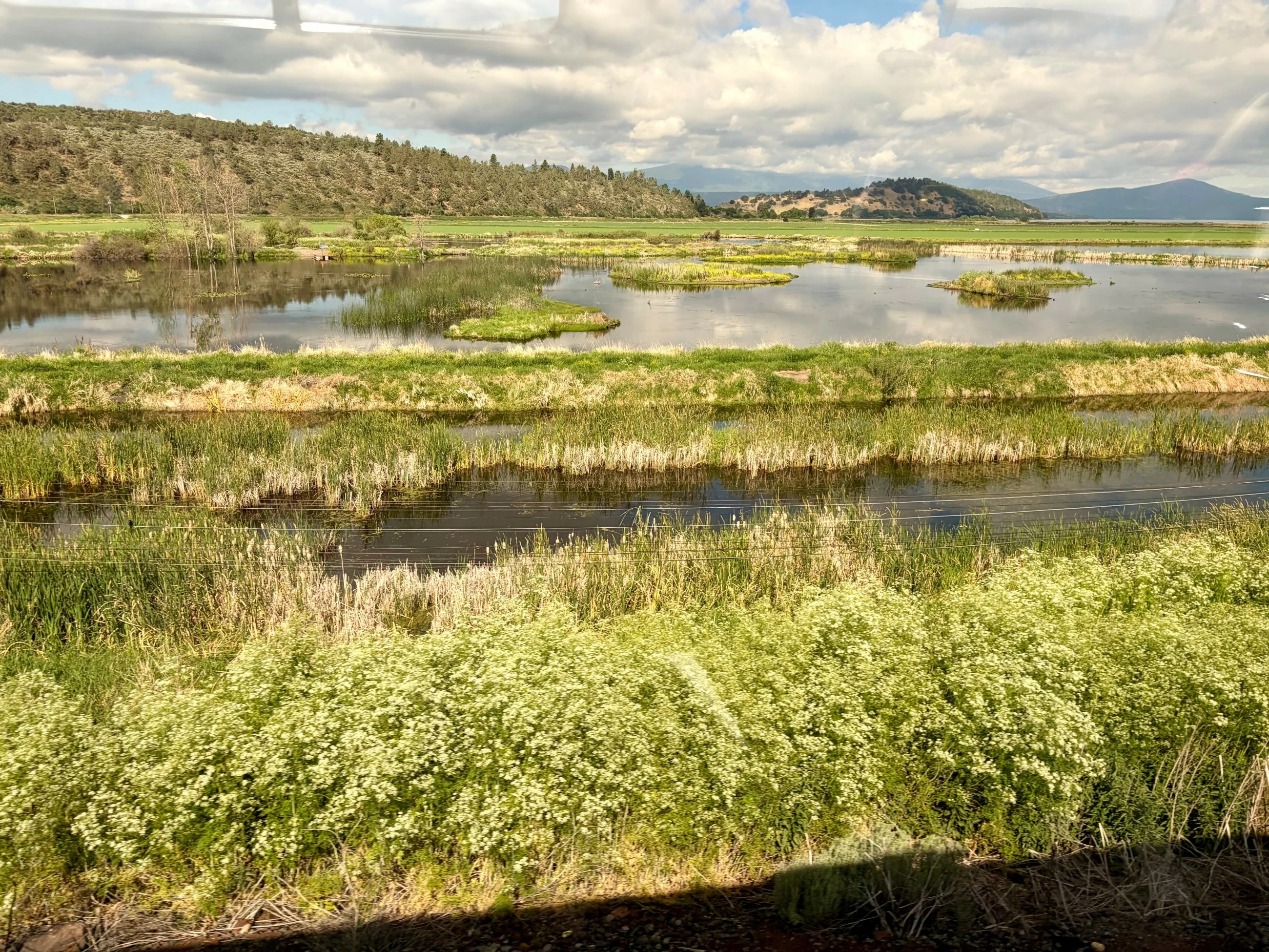 Passengers on this scenic Oregon train ride are putting down their phones