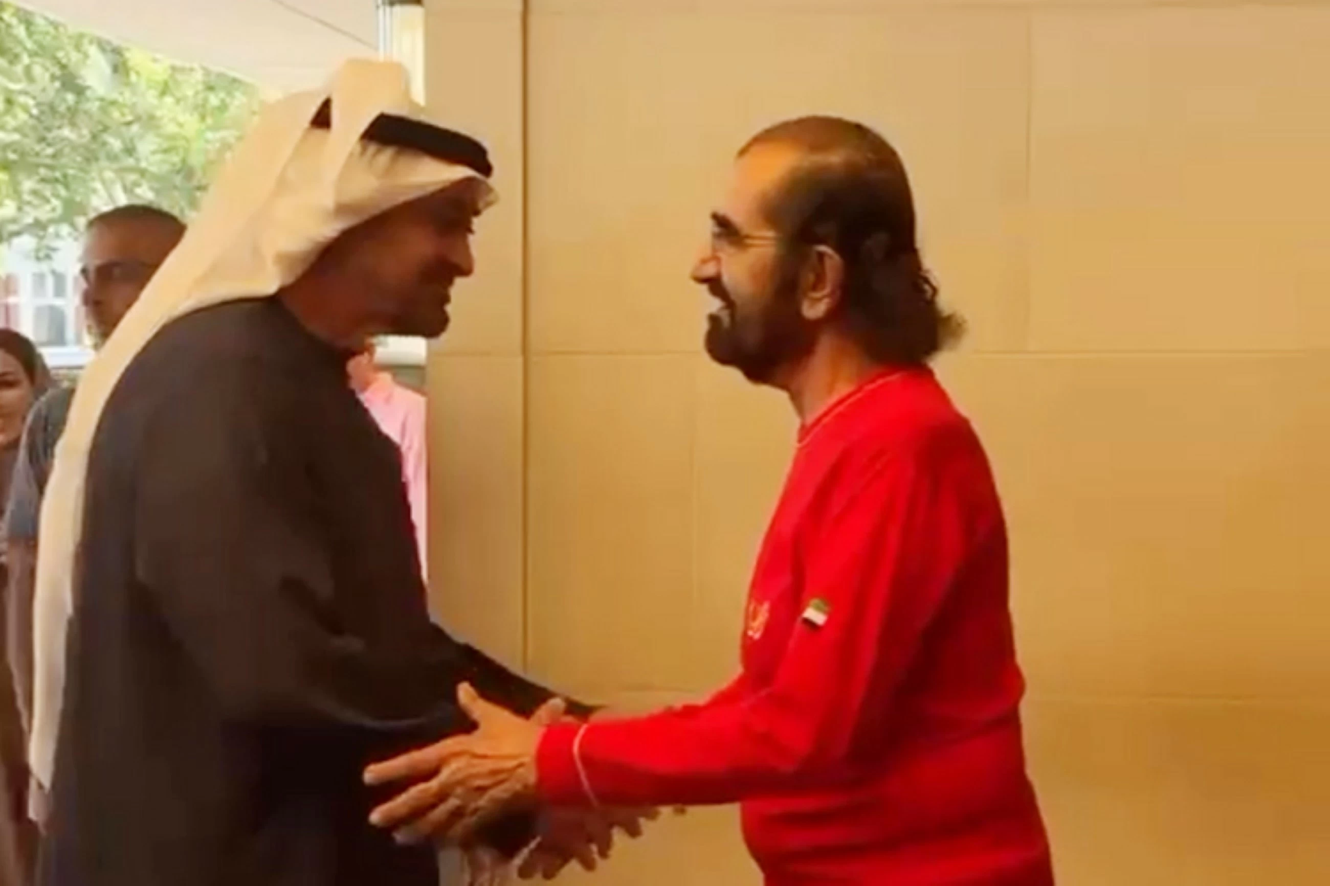 UAE President meets Sheikh Mohammed in London