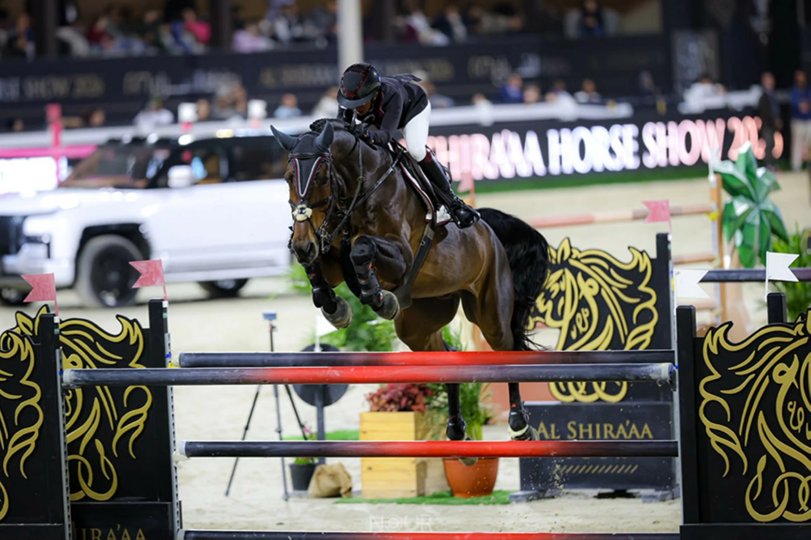 UAE name show jumping squad for FEI World Championships Aachen 2026