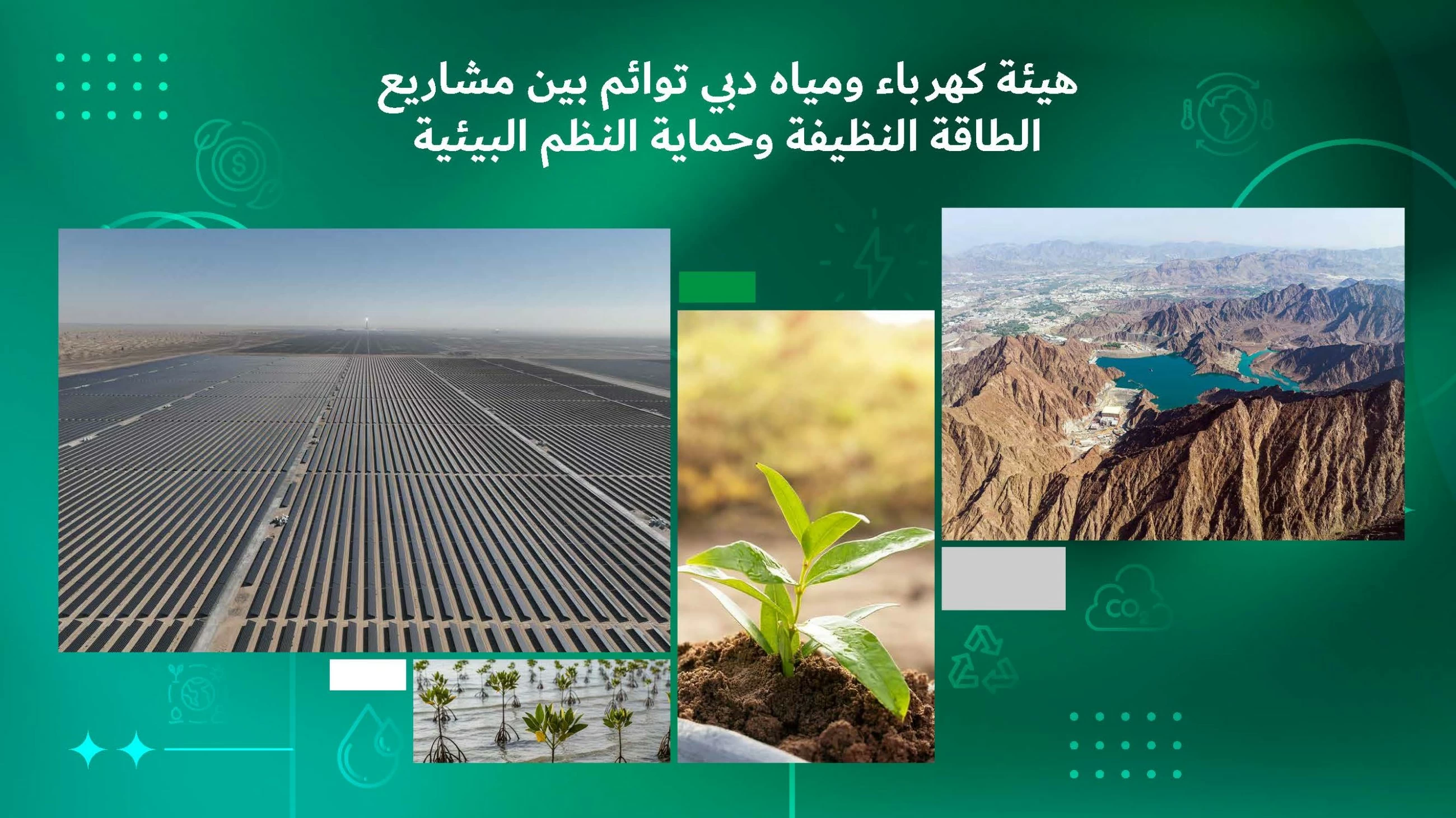 DEWA keeps environment healthy with zero-emission projects, says Saeed Al Tayer