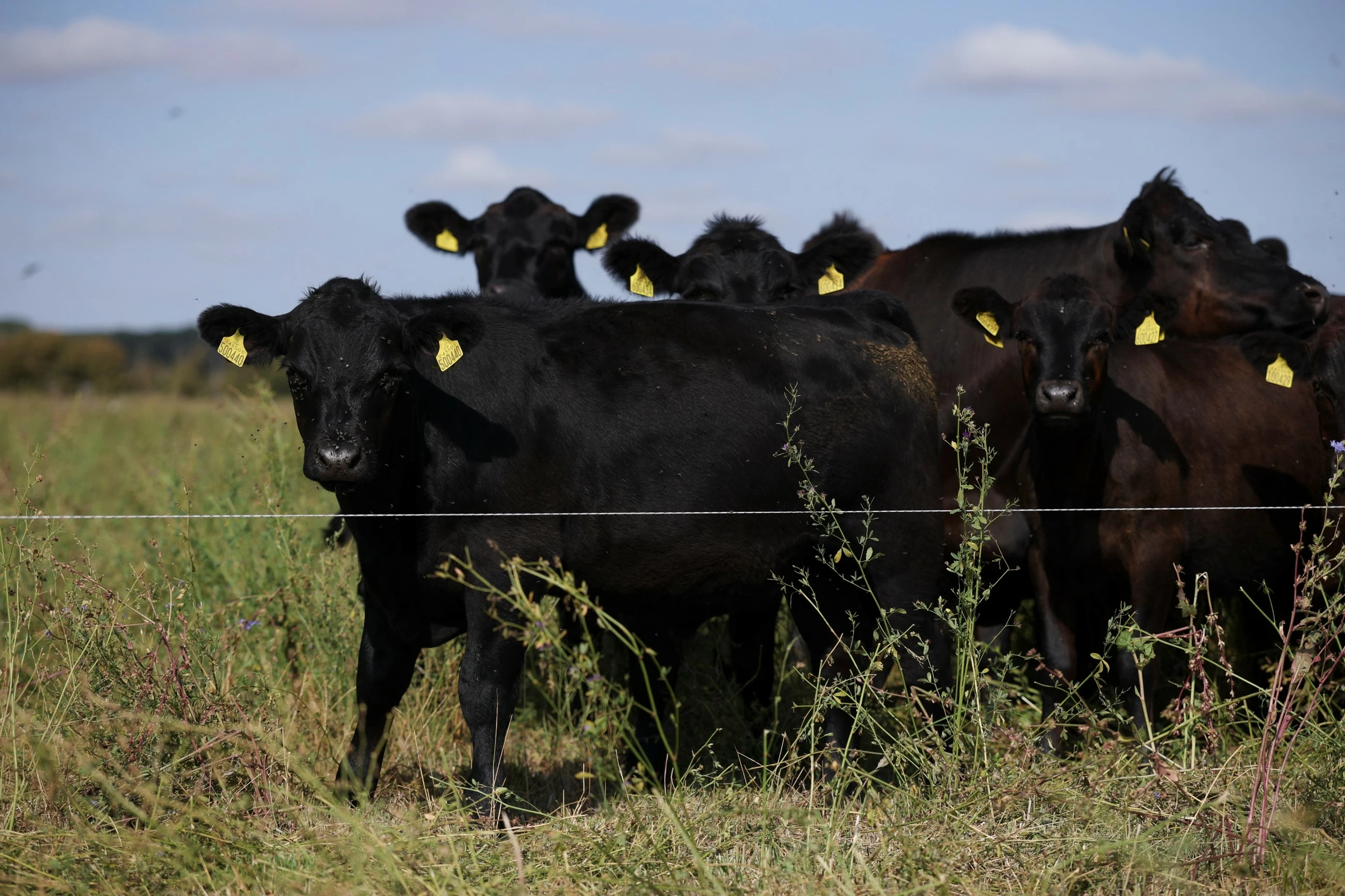 Europe steps up investment in climate-resilient farming
