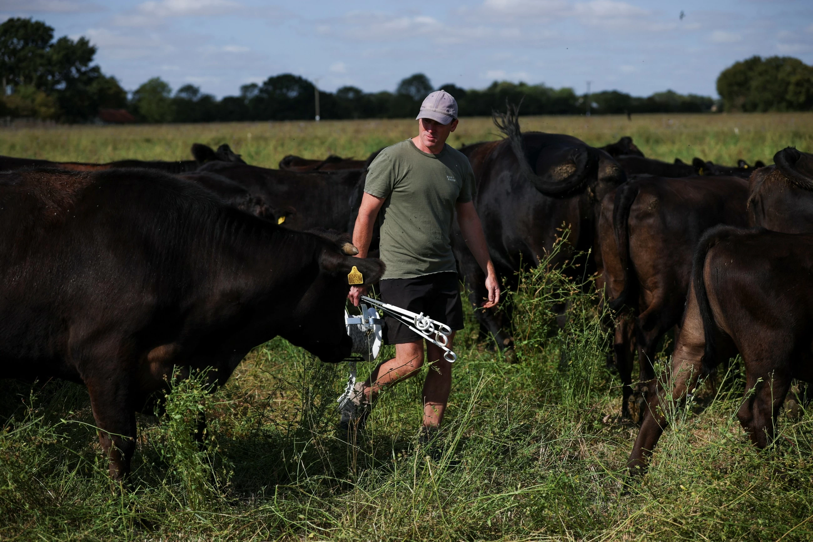 Europe steps up investment in climate-resilient farming