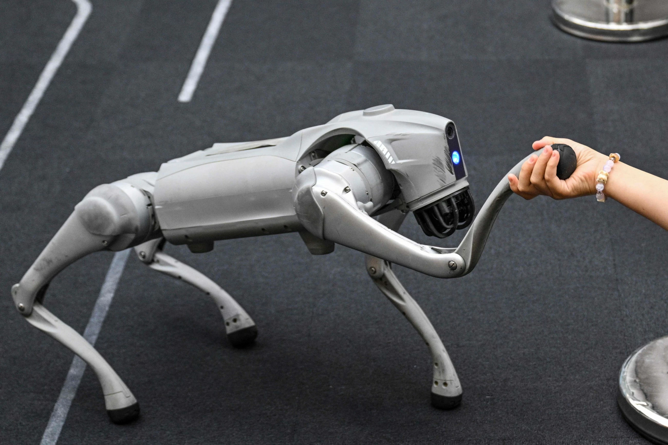 How US military funding propelled China's robot dogs