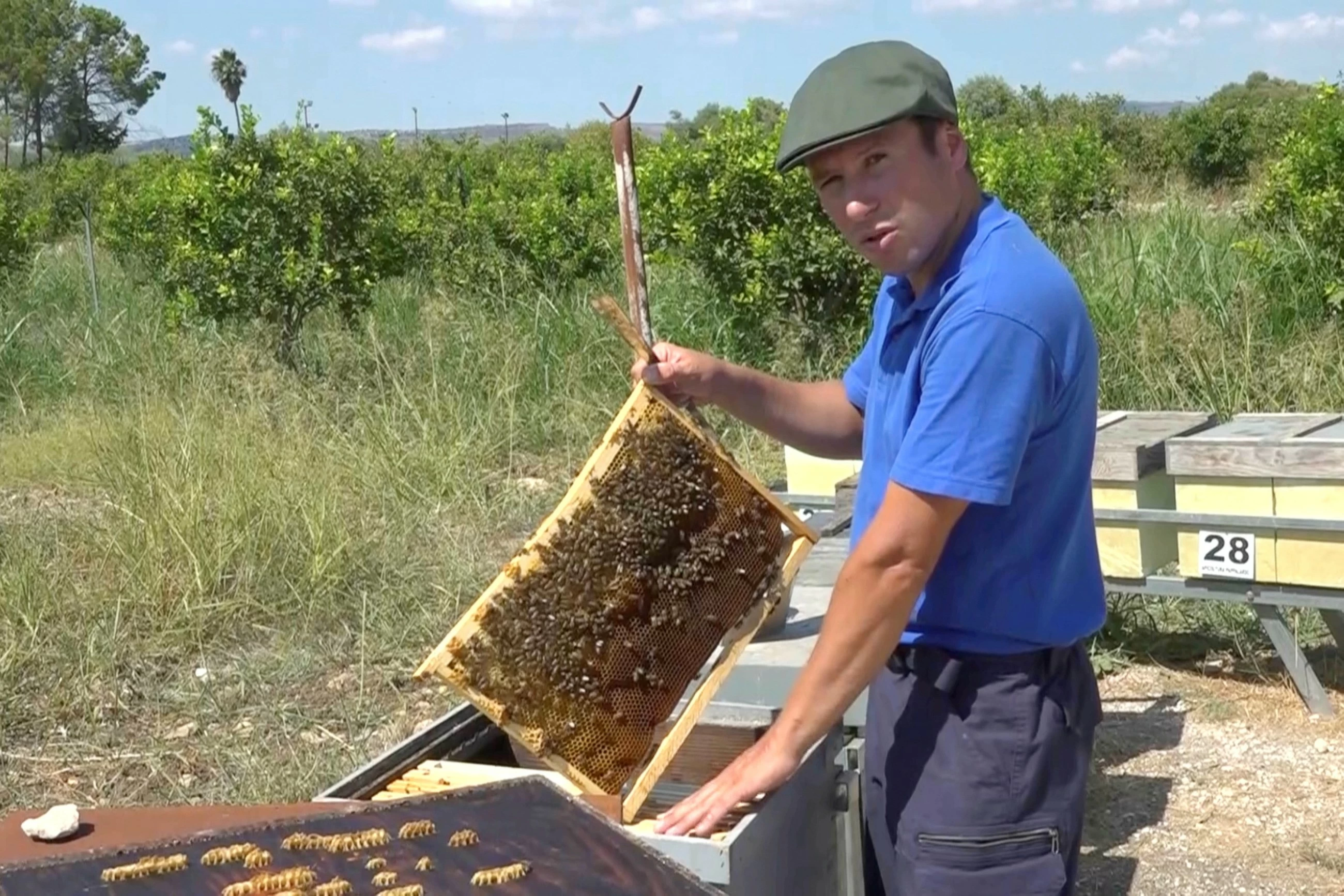 Climate change reshaping daily life in Sicilian town