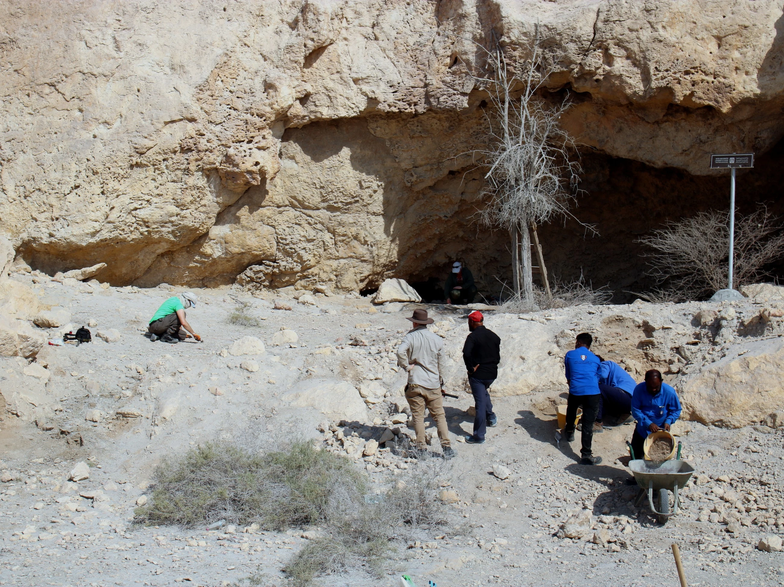 Latest archaeological discoveries reveal new human history insights in UAE