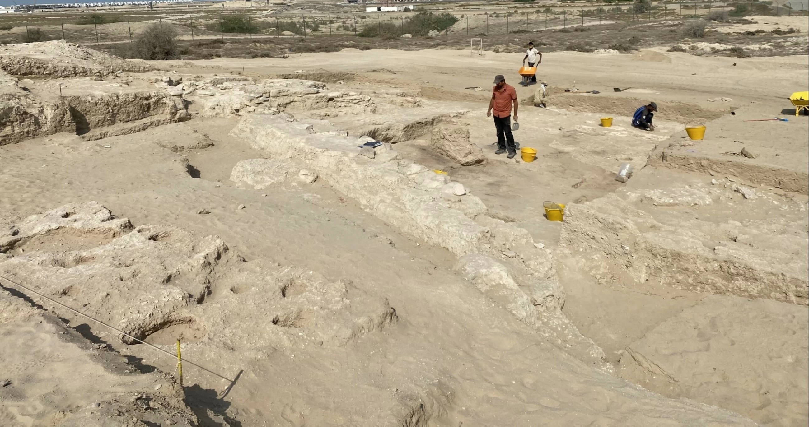 Latest archaeological discoveries reveal new human history insights in UAE