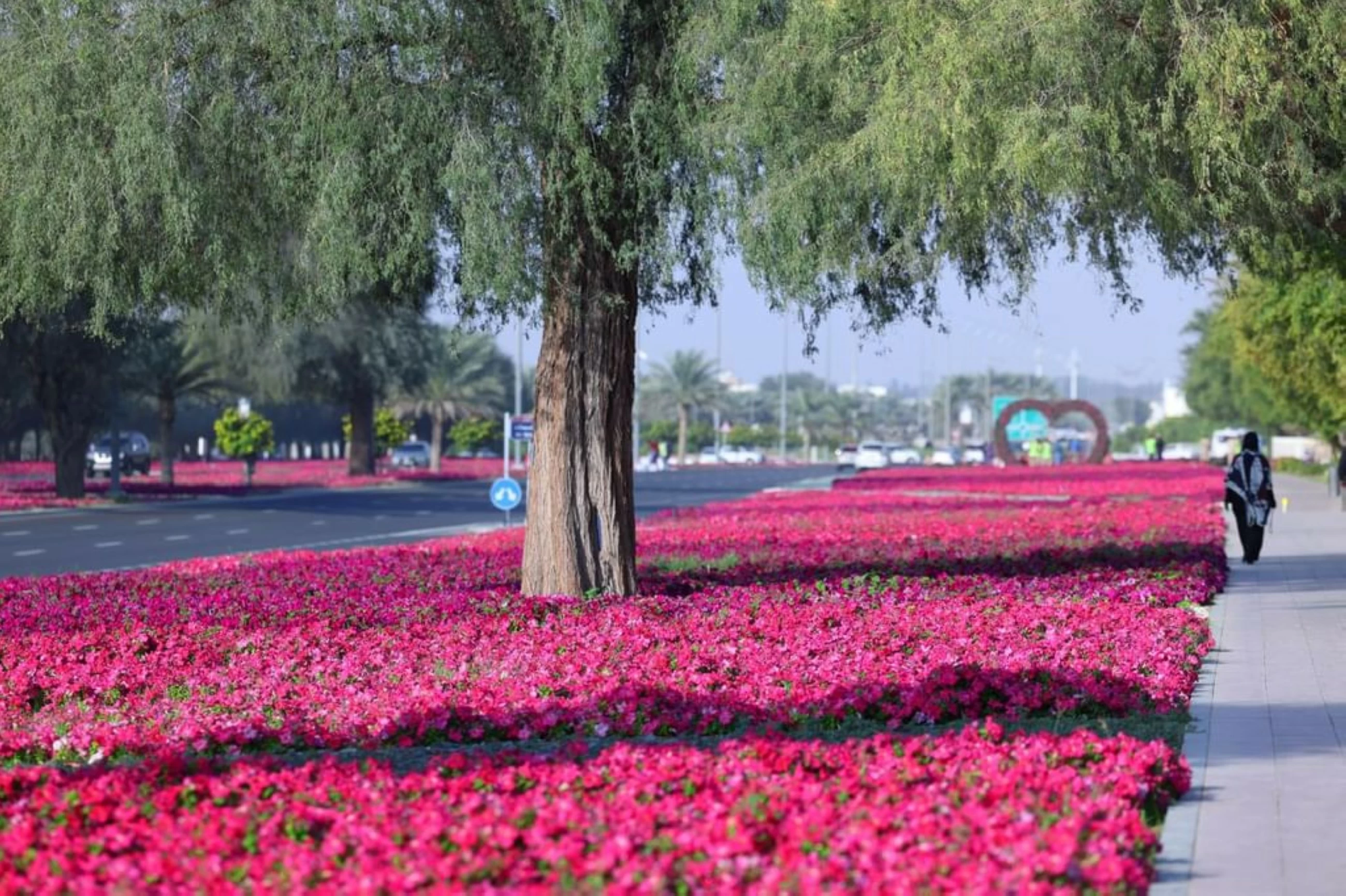 99 million year-round blooms embellish beauty of UAE's Garden City