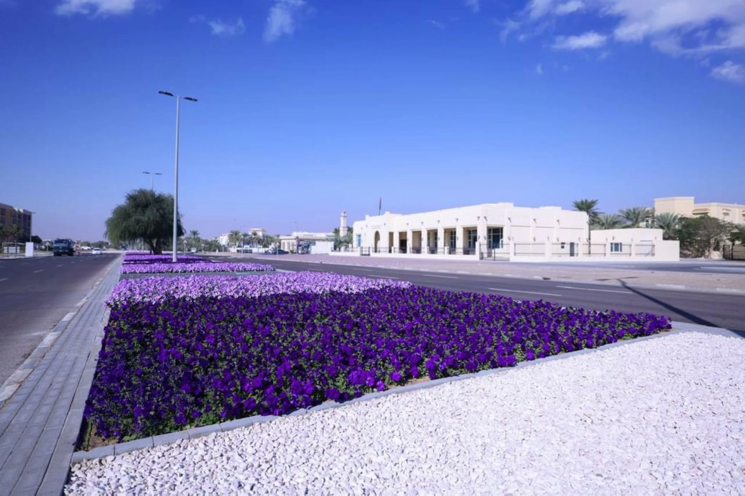 99 million year-round blooms embellish beauty of UAE's Garden City