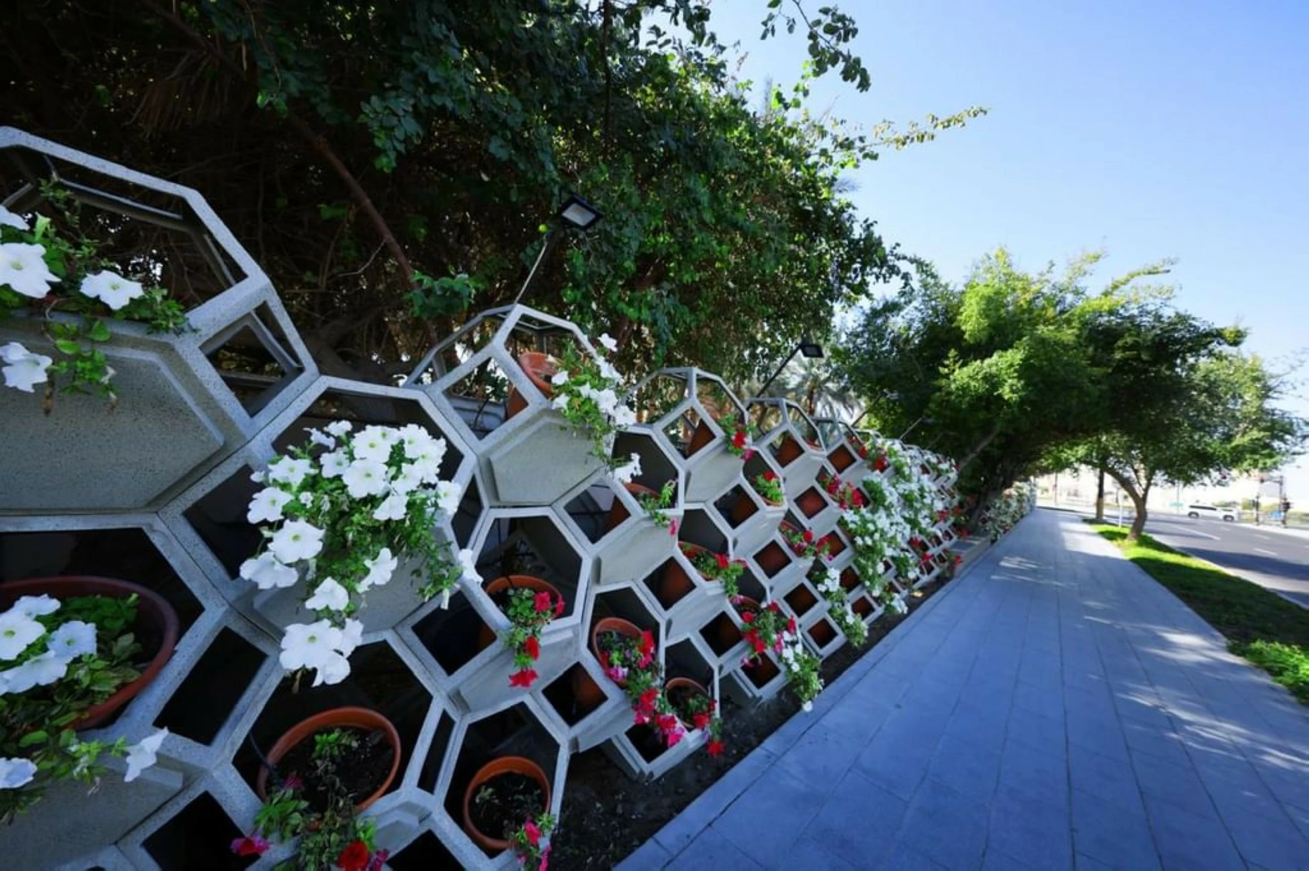 99 million year-round blooms embellish beauty of UAE's Garden City