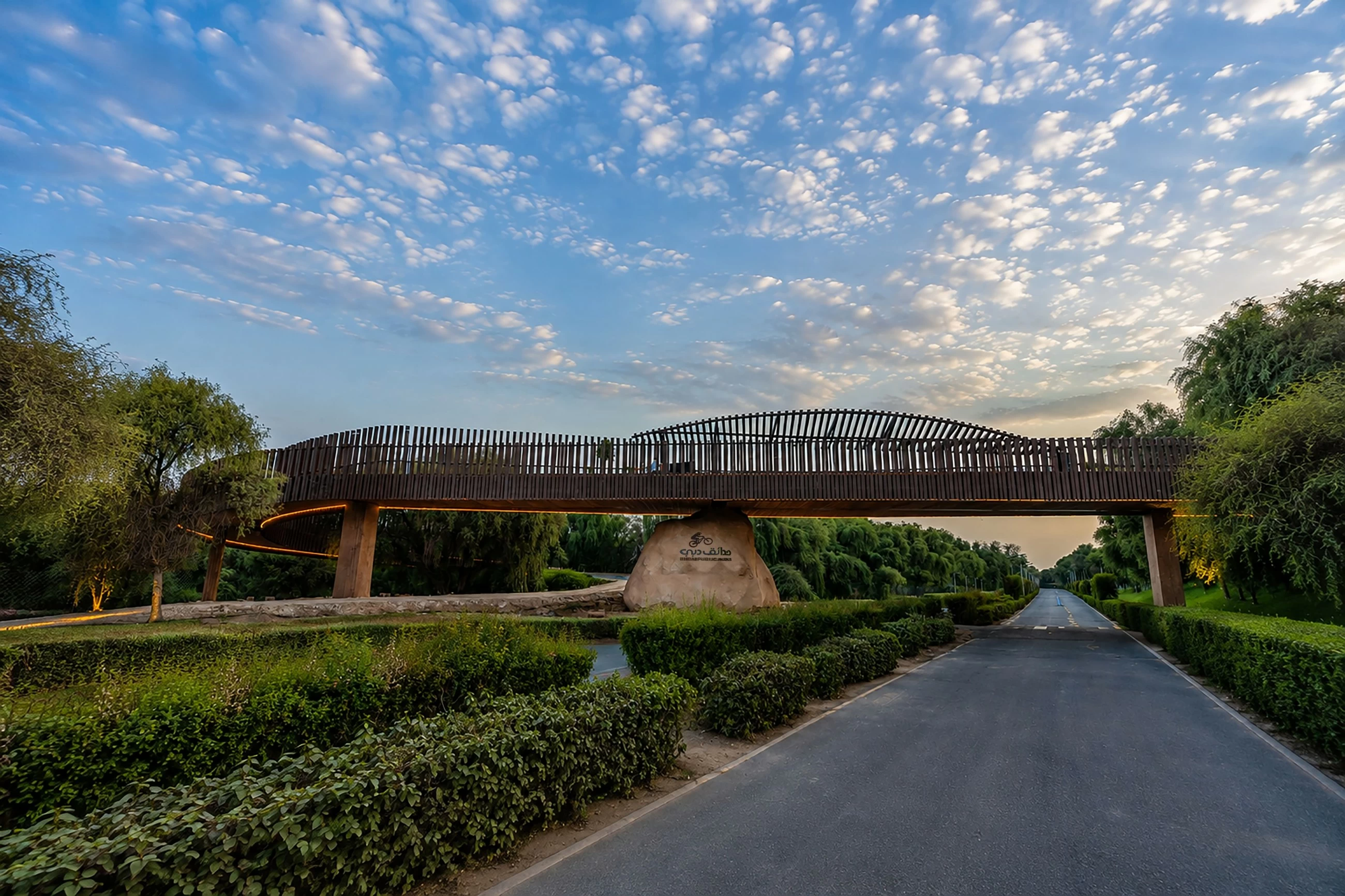 Dubai opens new 102-metre landmark bridge for cyclists, hikers at Mushrif National Park