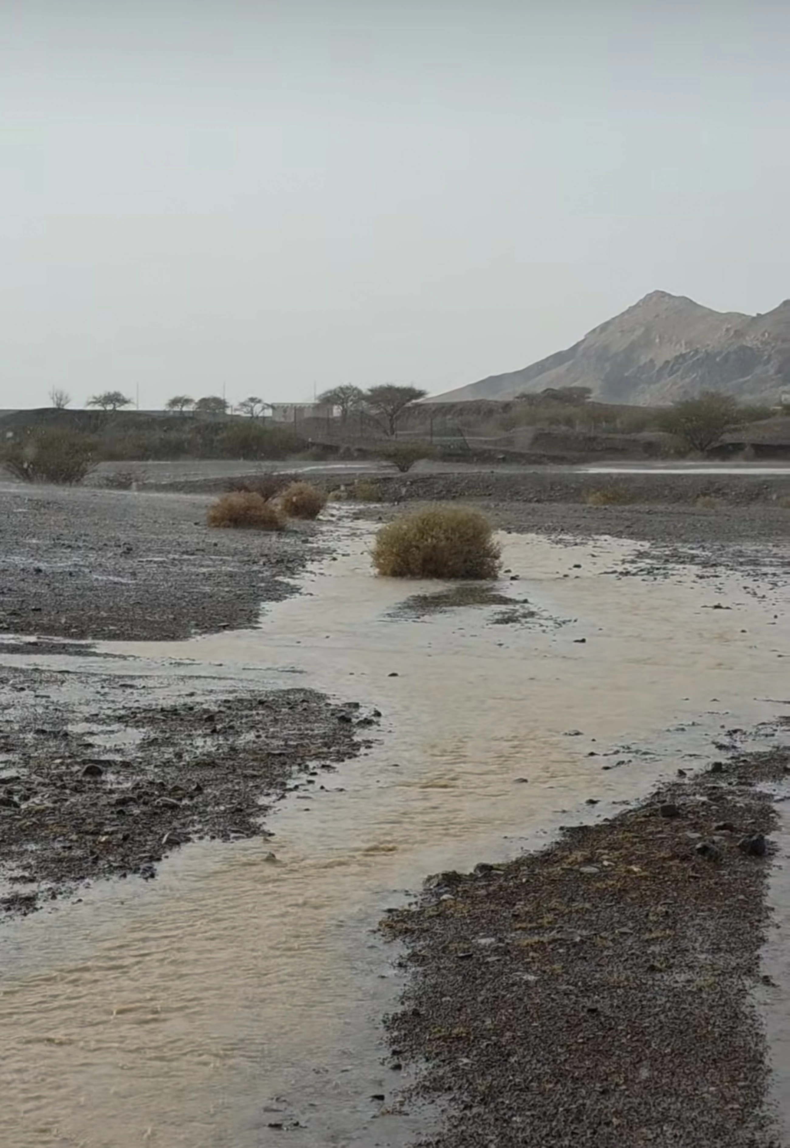 Rain expected across UAE&rsquo;s eastern and southern areas through Thursday