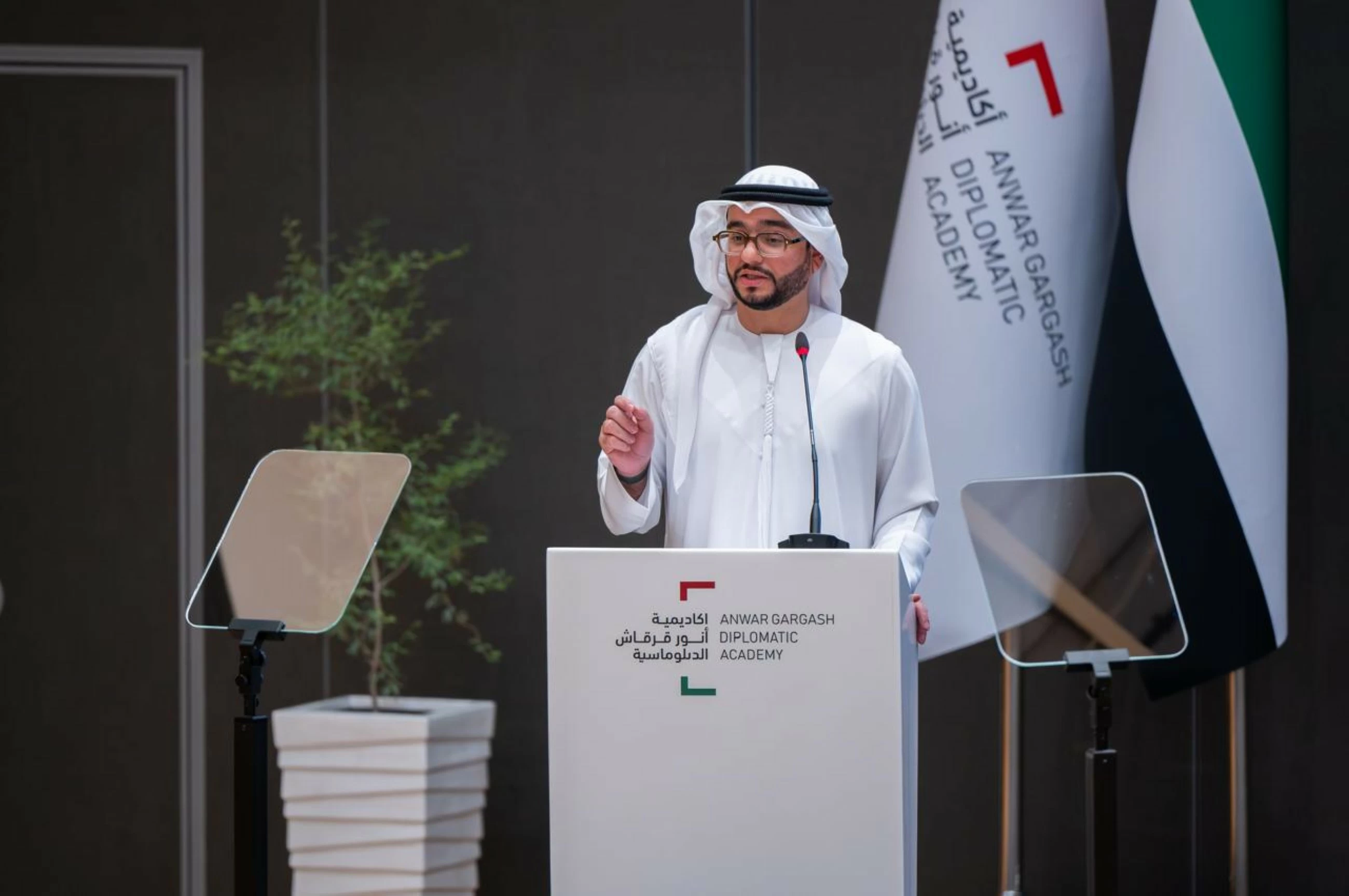Emirati diplomacy key to 'advancing peace'