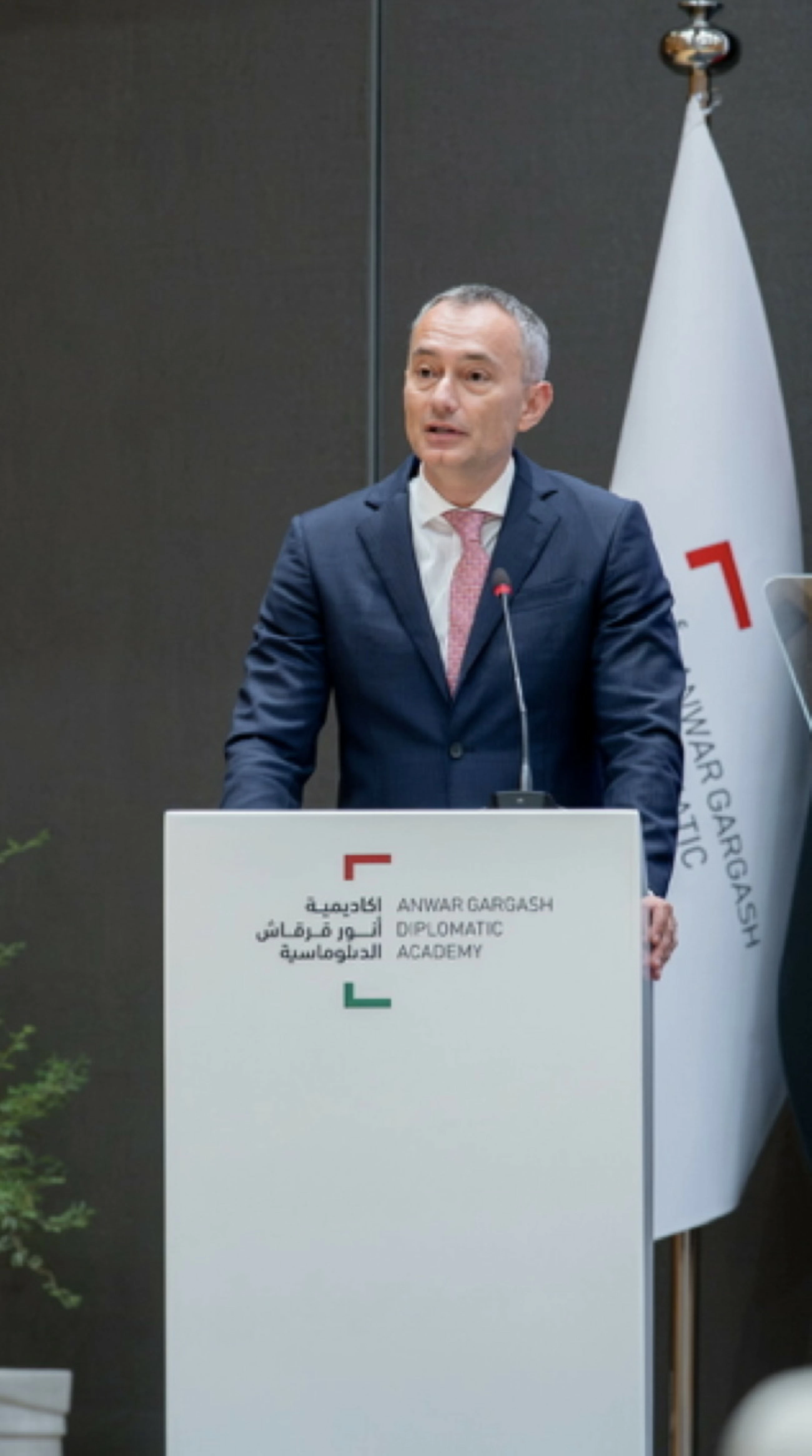 Emirati diplomacy key to 'advancing peace'