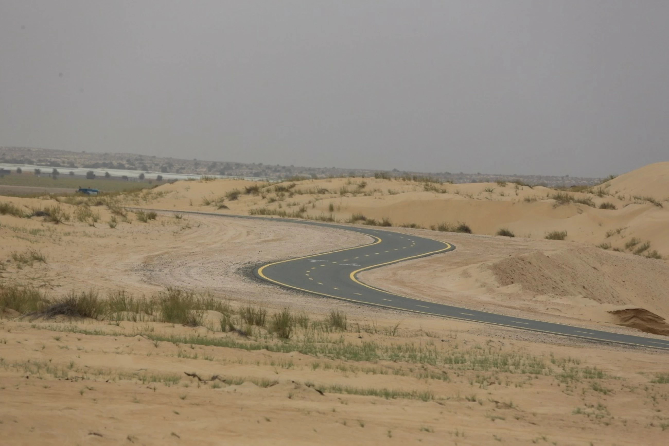 Dubai Desert Conservation Reserve safeguards biodiversity, natural heritage: Report