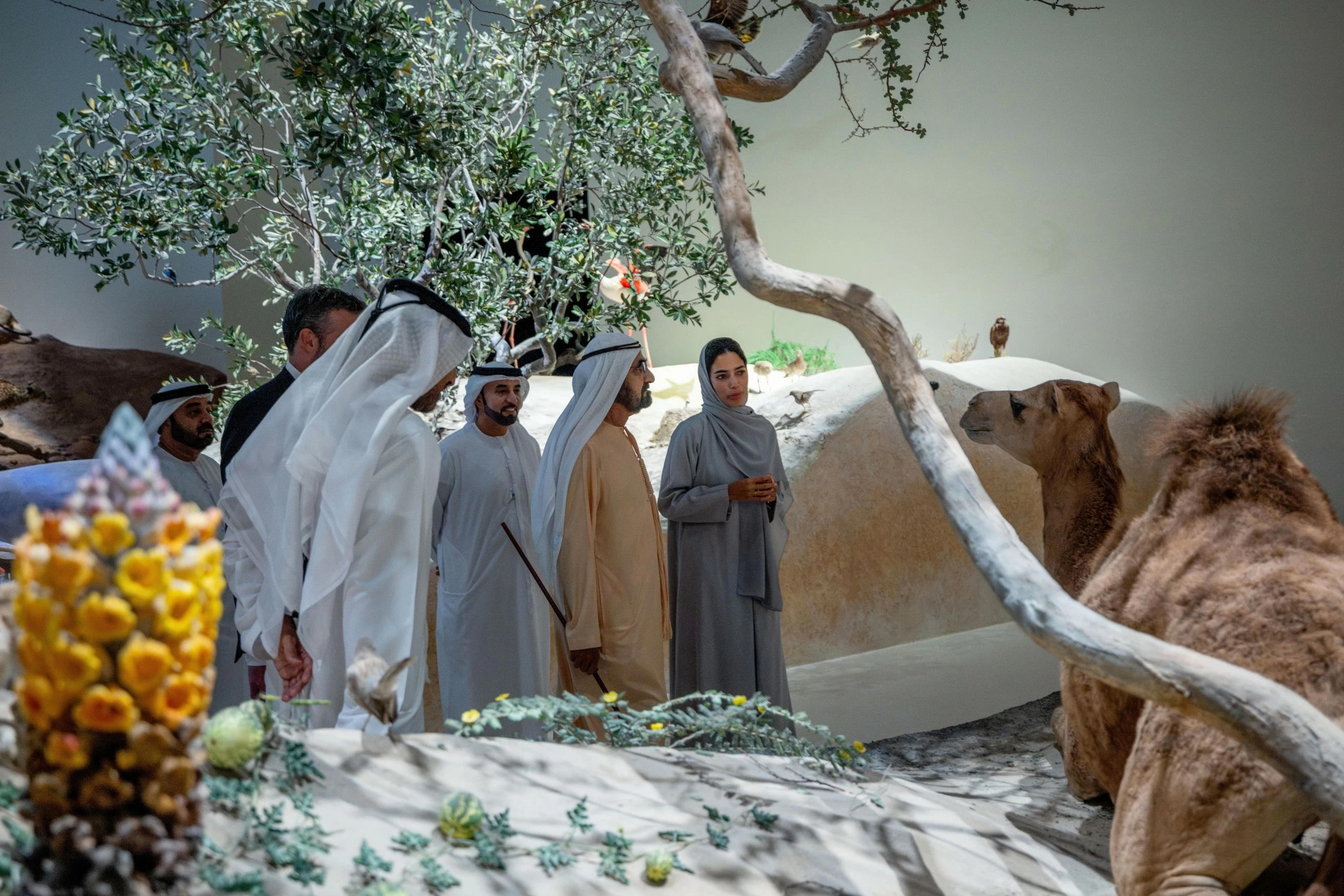 Sheikh Mohammed tours Abu Dhabi&rsquo;s new Natural History Museum