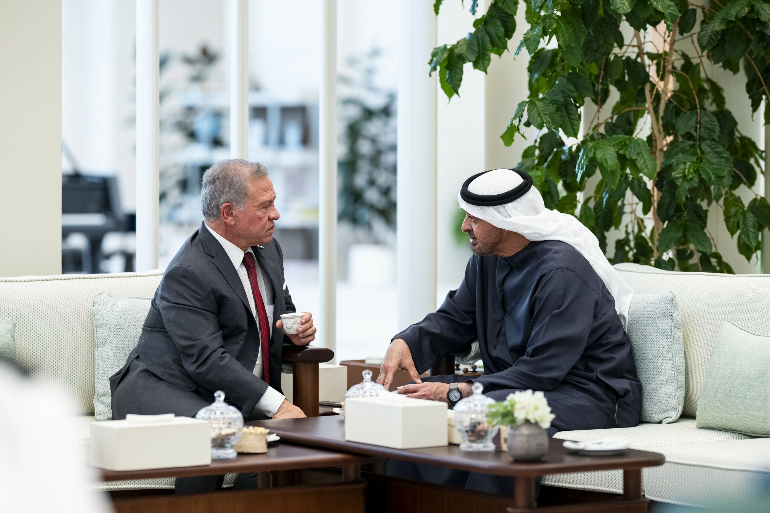 UAE President, Jordan King discuss regional developments