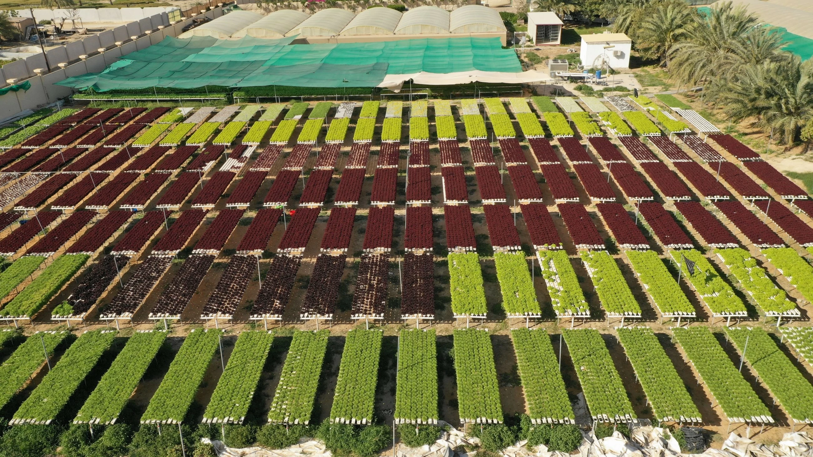 UAE accelerates campaign to take national products to global markets
