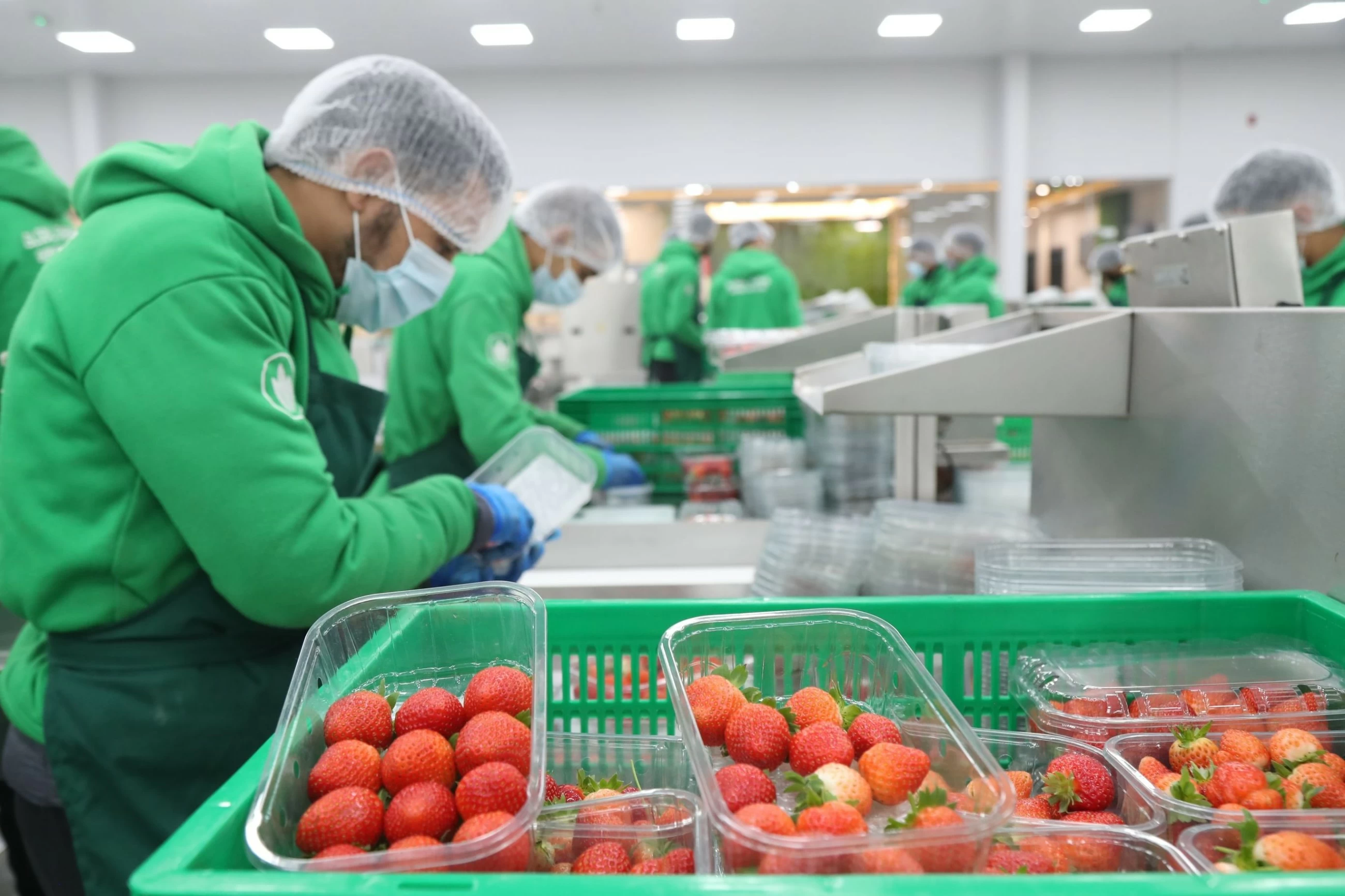 UAE accelerates campaign to take national products to global markets