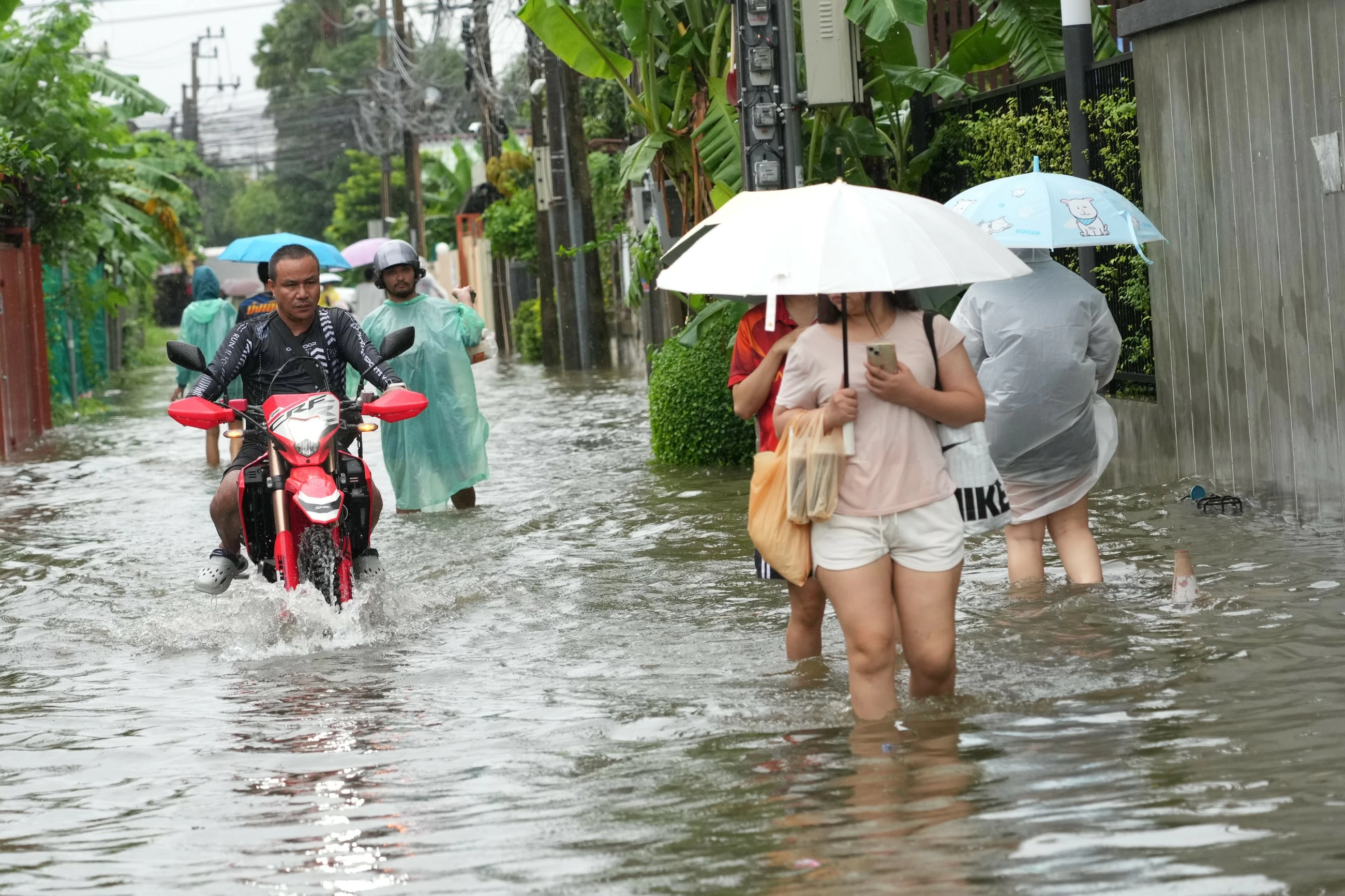 Canals full, roads submerged as Bangkok declares flood disaster across all 50 districts