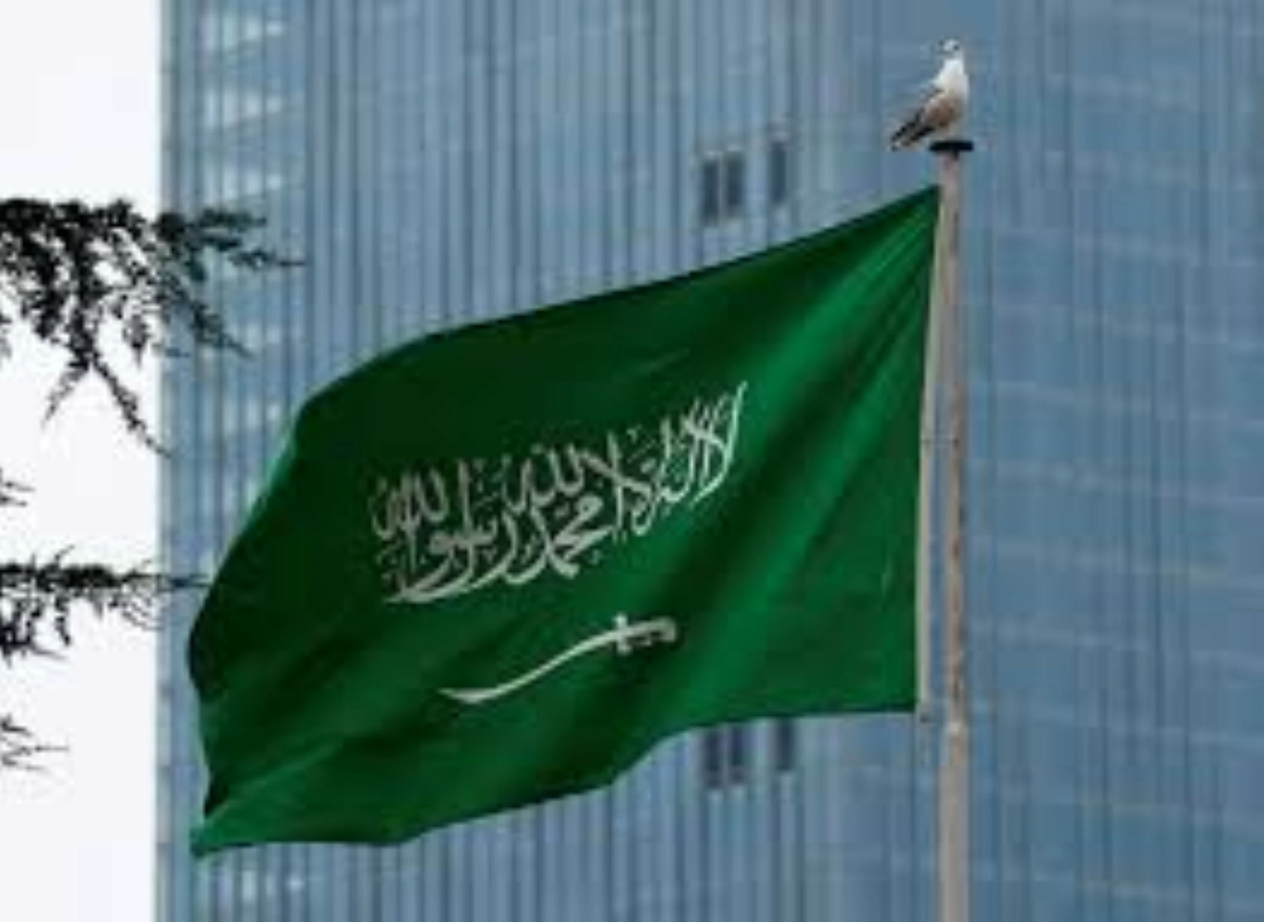 Saudi-led coalition says Houthis attacked power distribution station in Madinah
