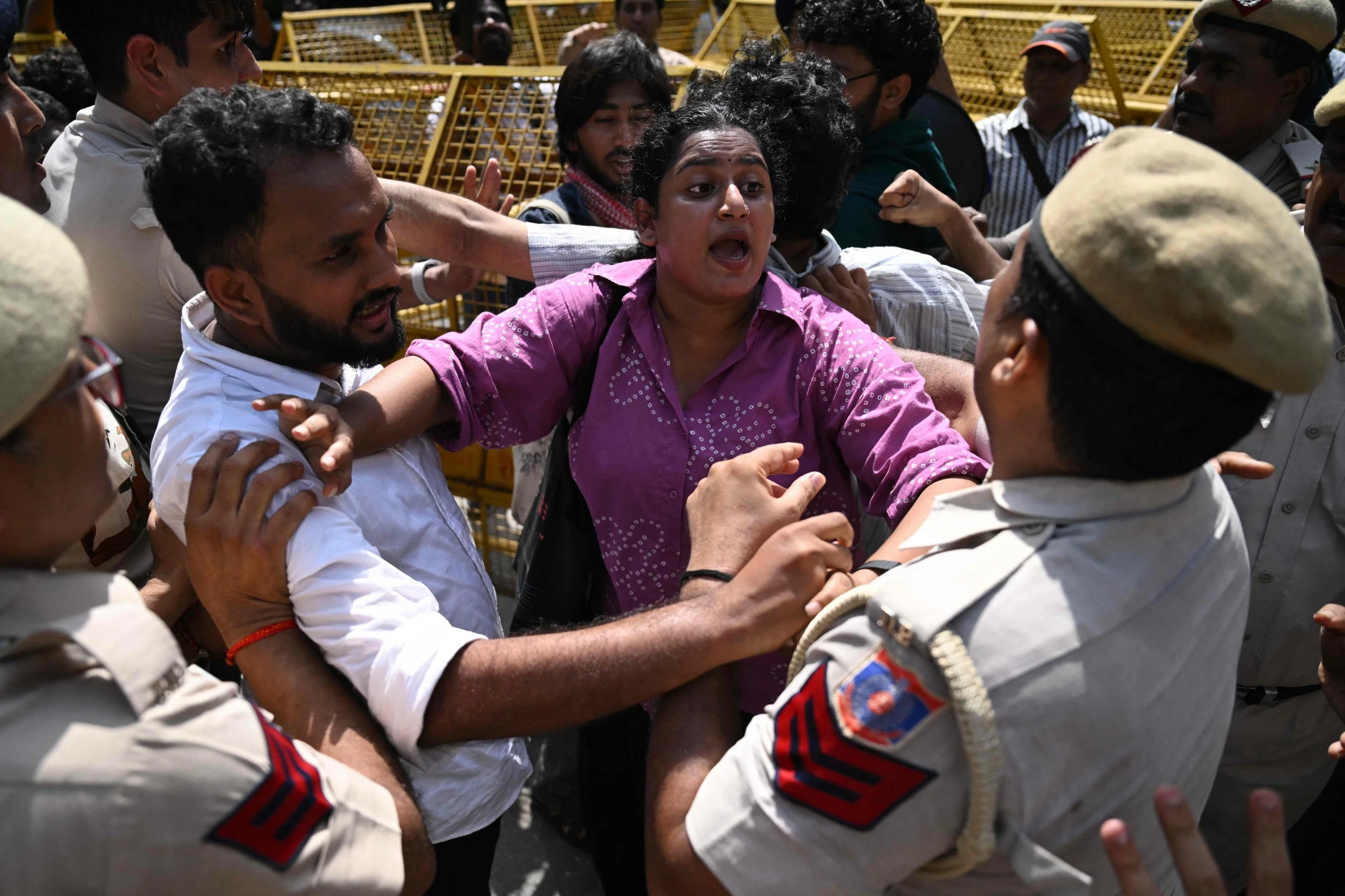 'Cockroaches' join India protests demanding election chief resign