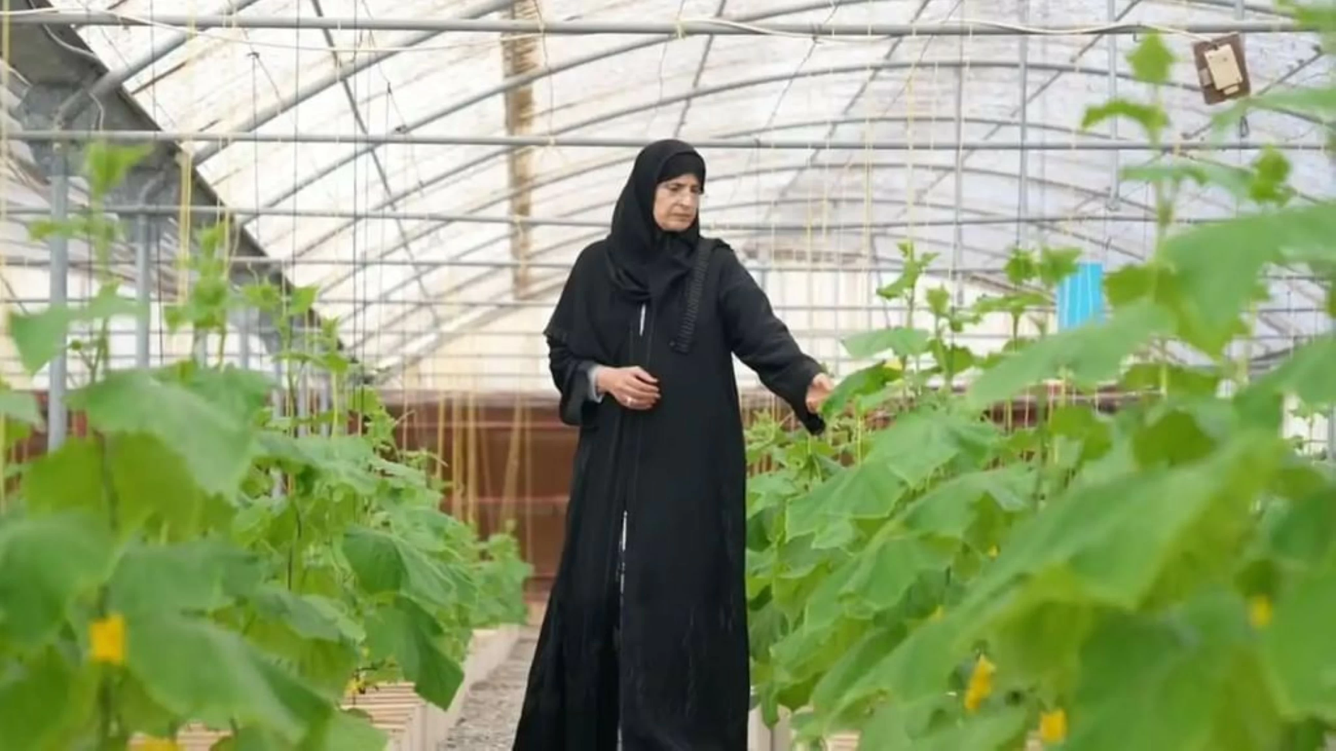 Emirati Khadija Darwish Alqubaisi among 'FAO 100 Women Heroes'