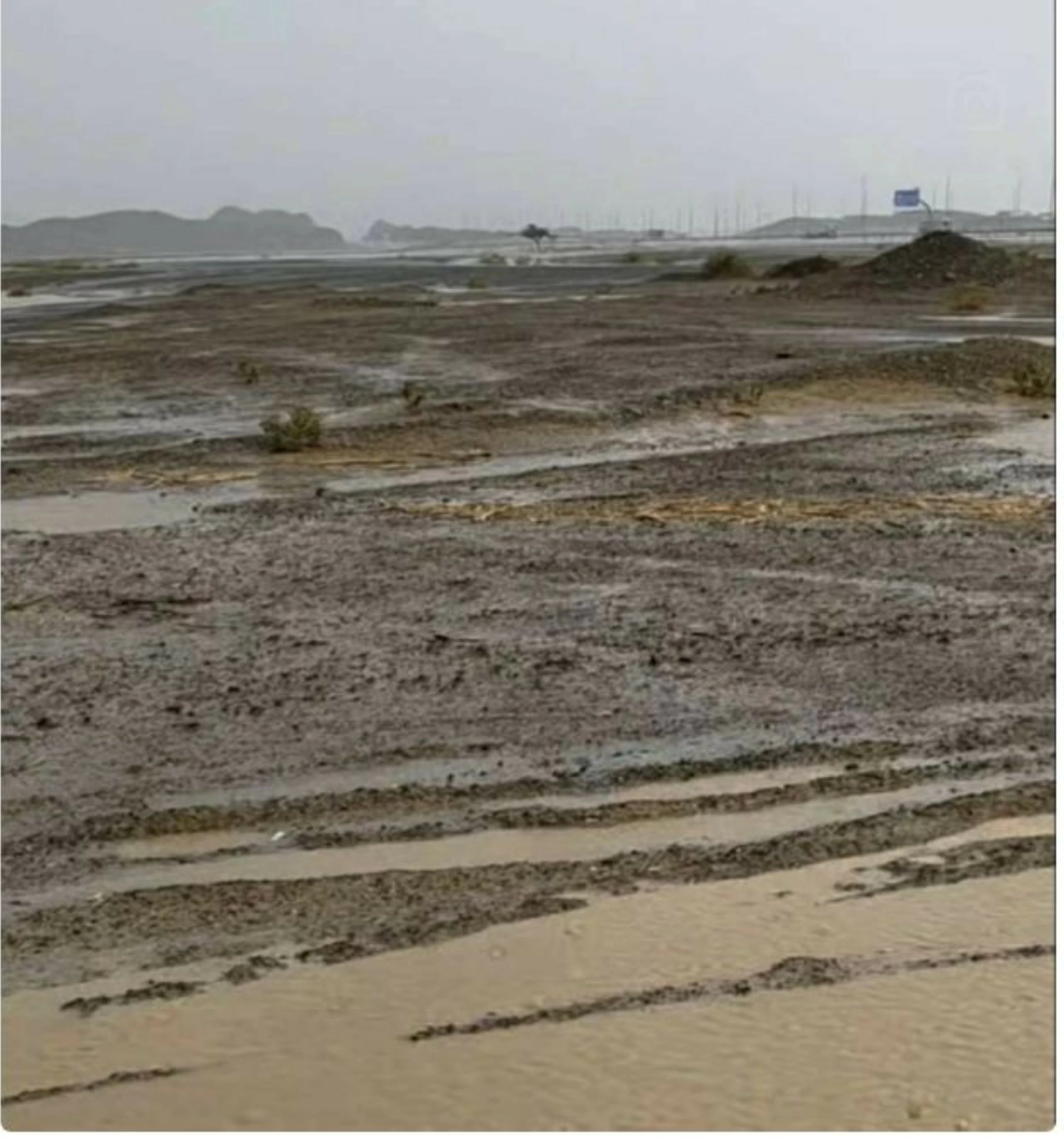 Rain hits parts of UAE, NCM expects more in coming days