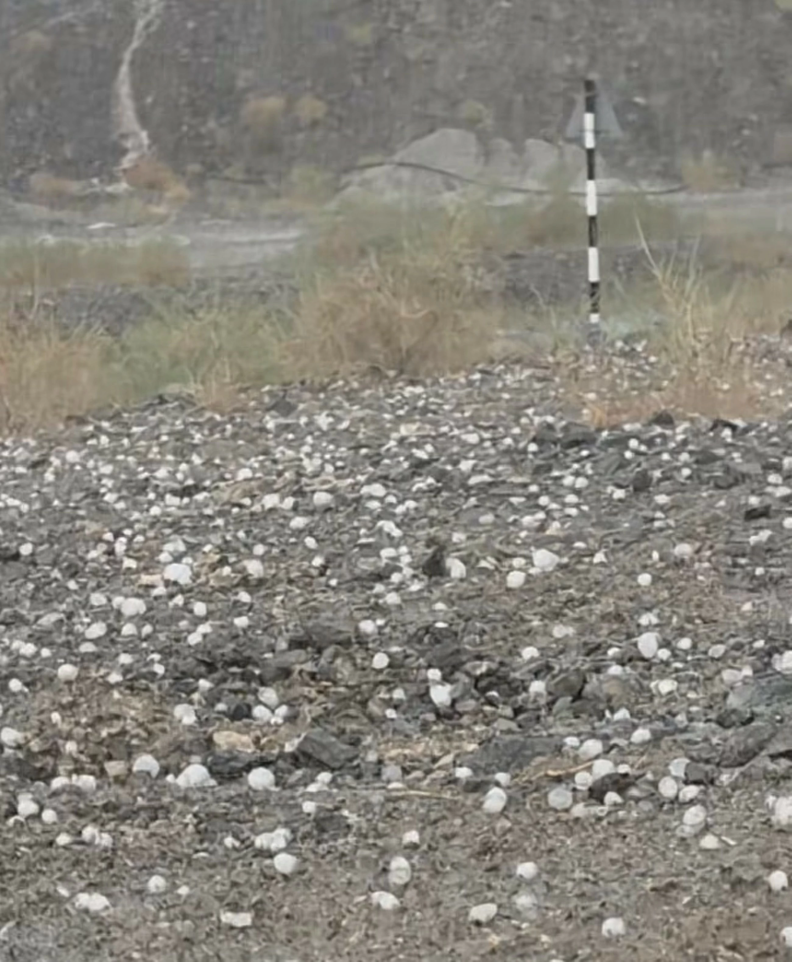 Heavy rain and hail hit parts of the UAE, NCM predicts cloudy weather for next couple of days