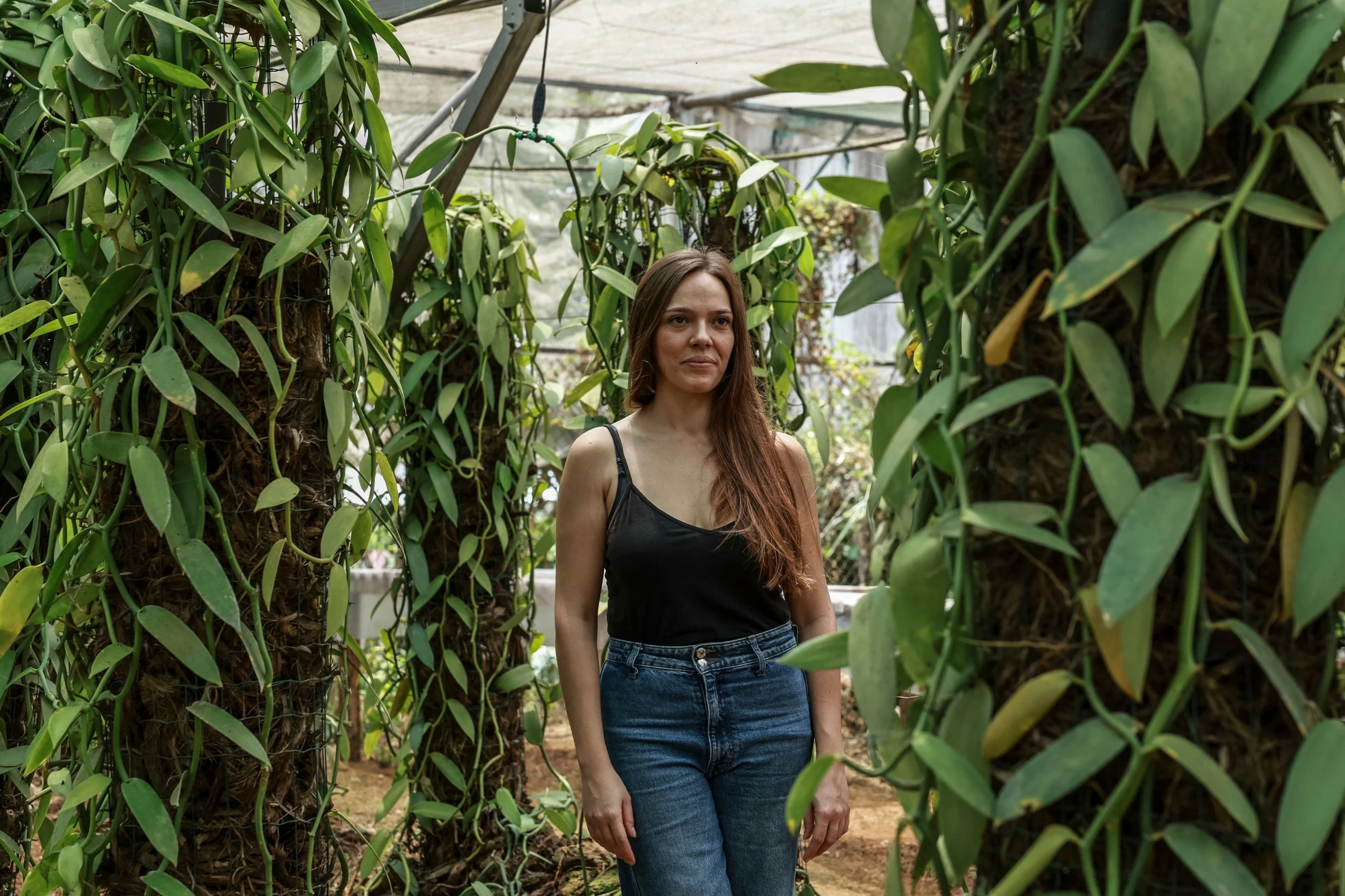Sao Tome's niche vanilla finds far-away fans