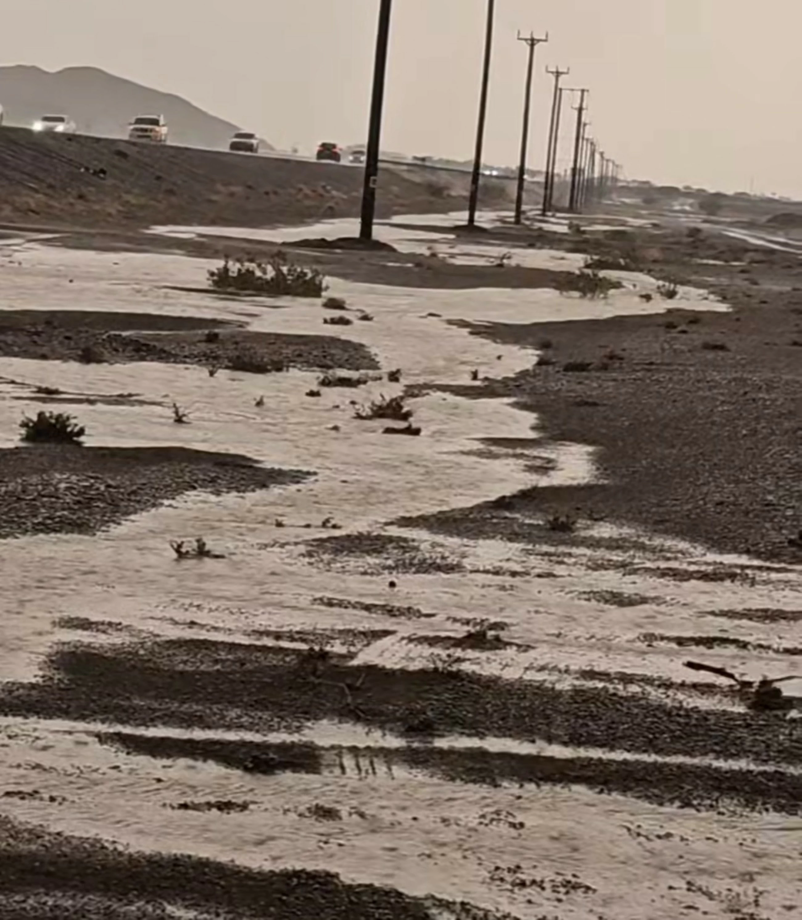 Showers observed in several parts of UAE, weather body sees chance of rain persisting until Wednesday