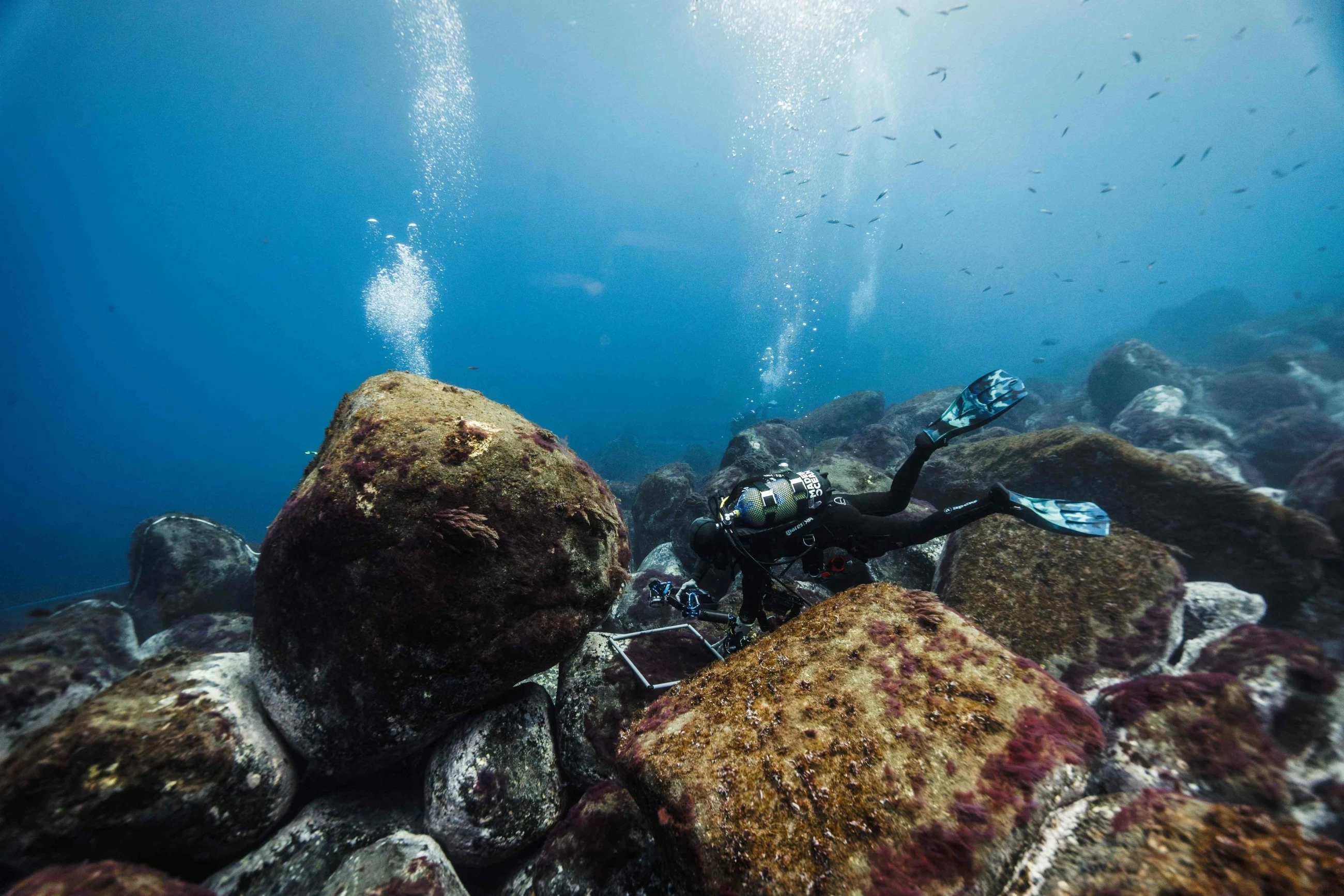 Why is landmark UN biodiversity fund nearly empty?