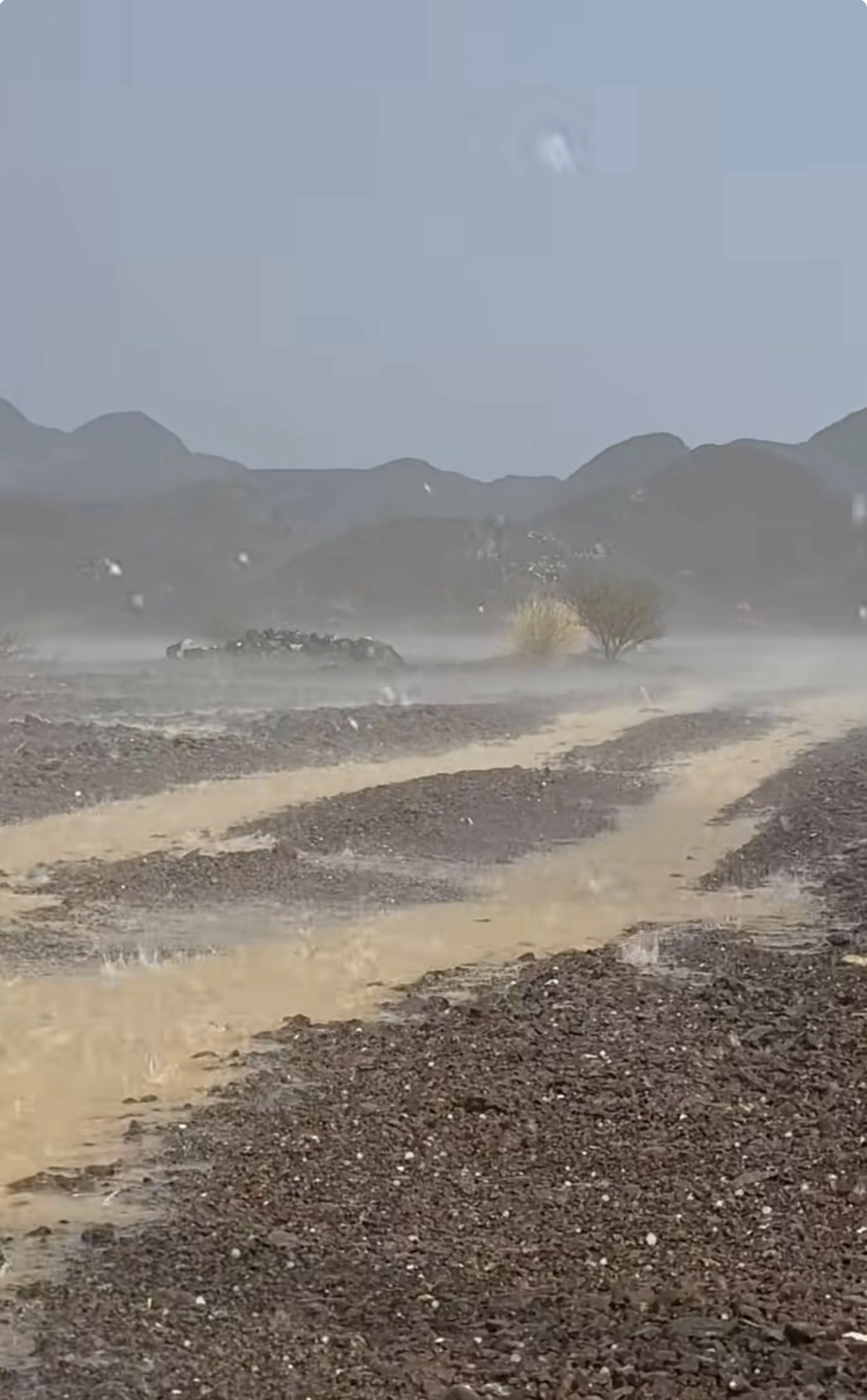 Rain, hail hit parts of UAE as weather body expects drop in temperatures by next Saturday